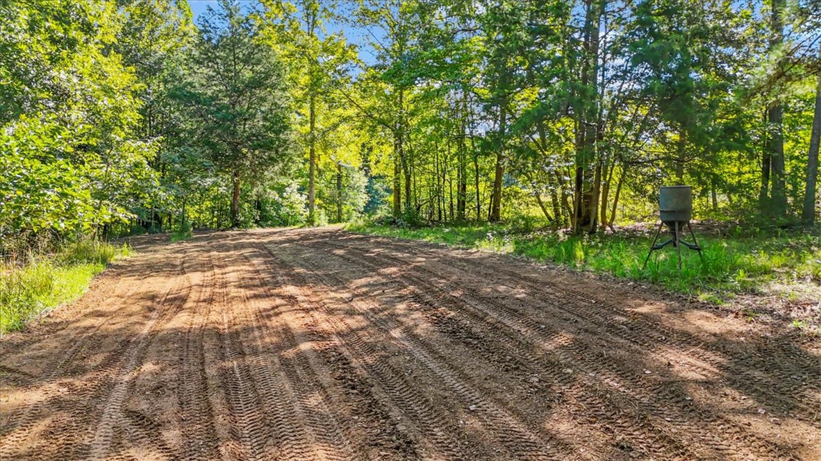 1443 Henderson Road