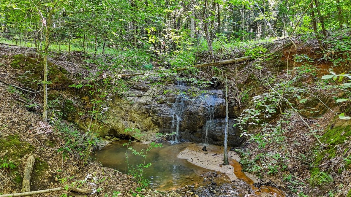 1443 Henderson Road