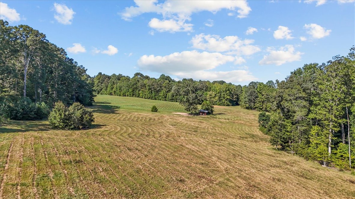 1443 Henderson Road