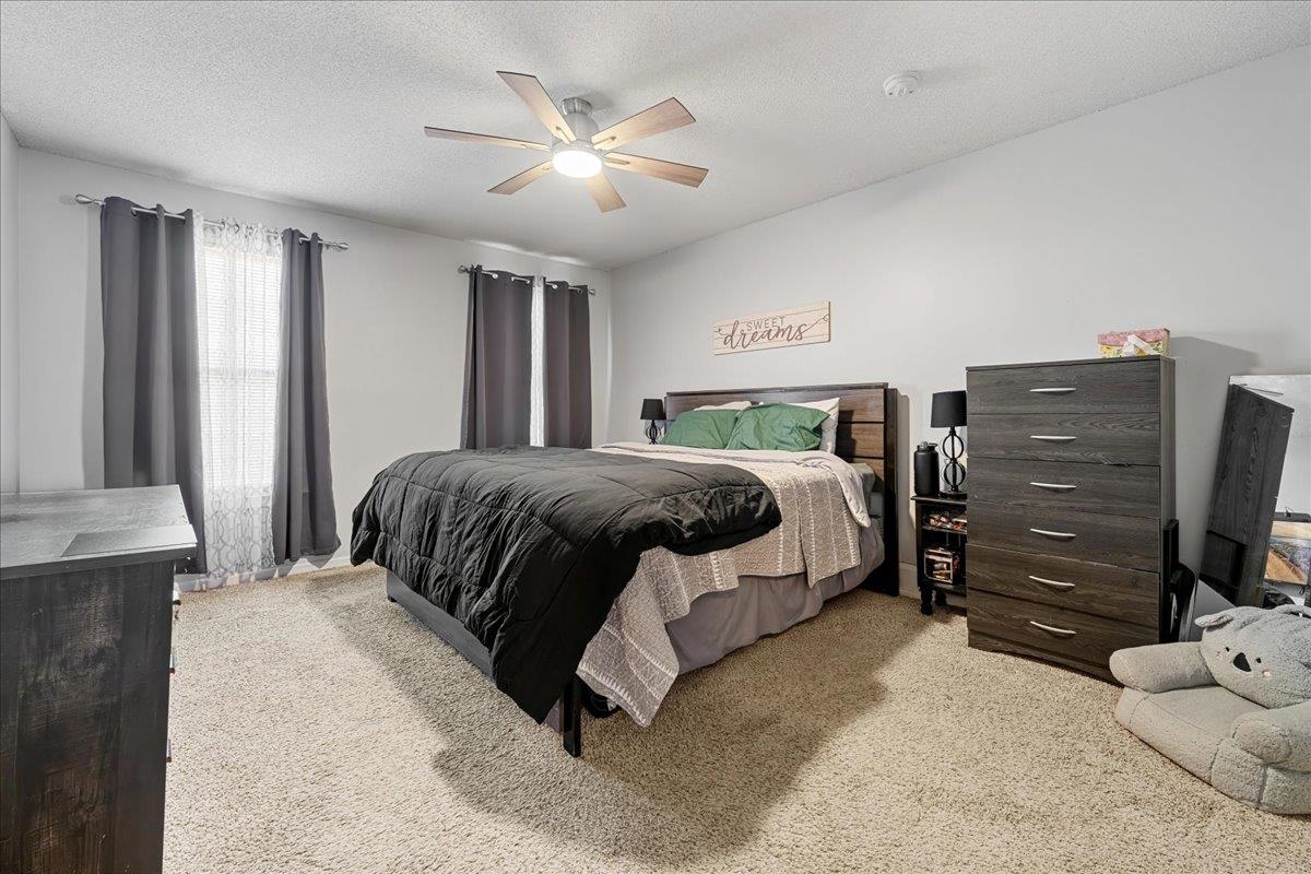 100 Fernande Drive