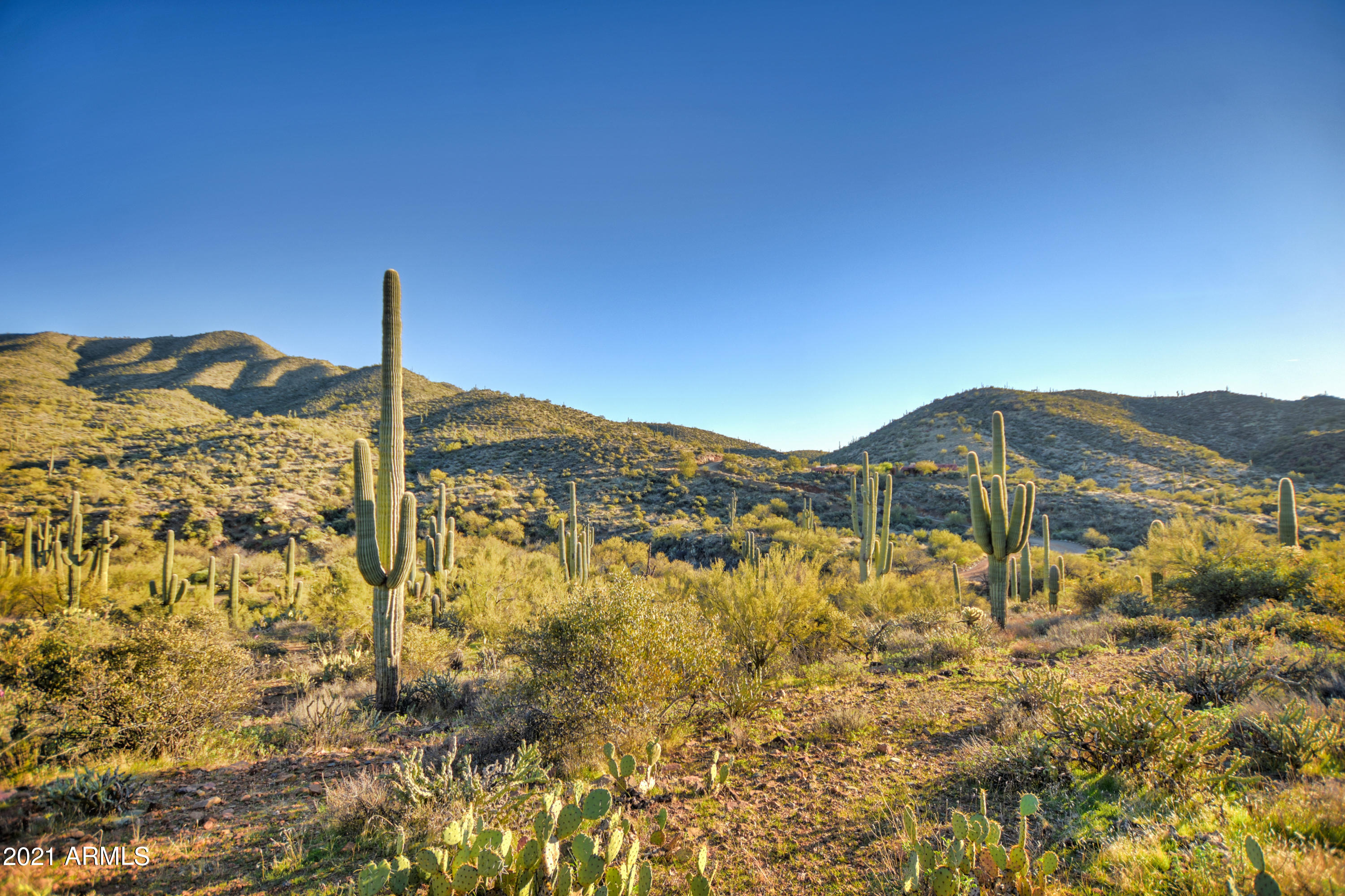 45043 N COTTONWOOD CANYON Road Unit: Z & Y