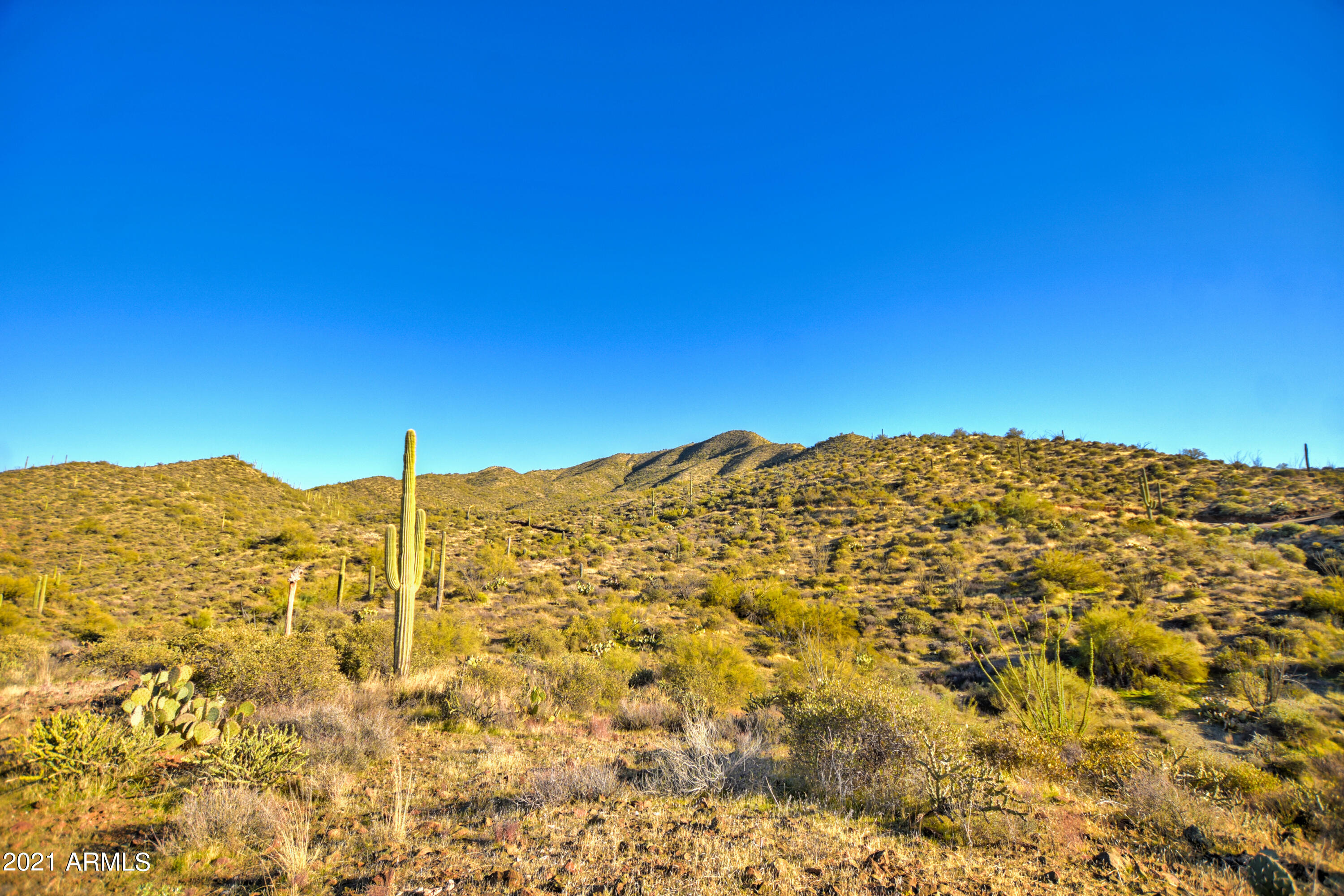 45043 N COTTONWOOD CANYON Road Unit: Z & Y