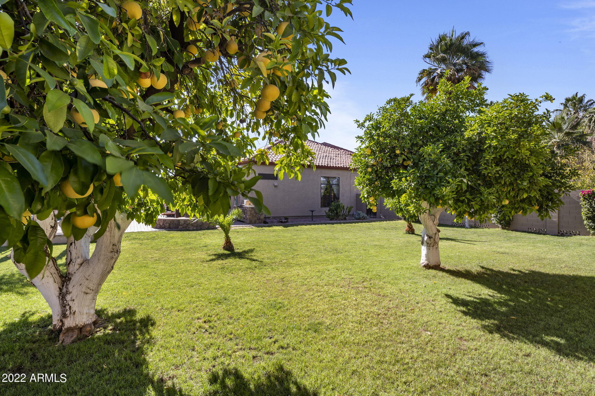 3635 E OASIS Circle