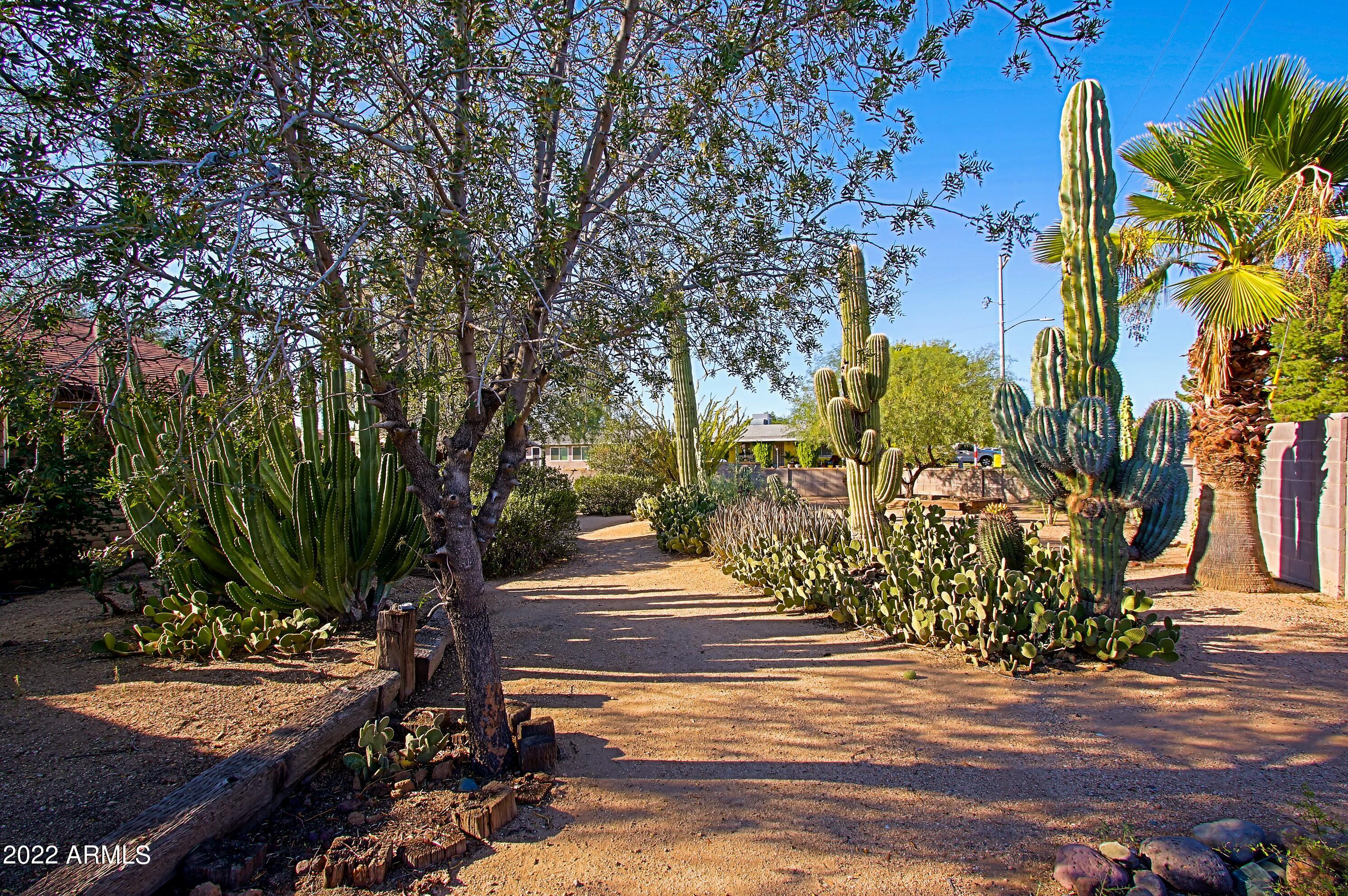 1945 E CAMPO BELLO Drive