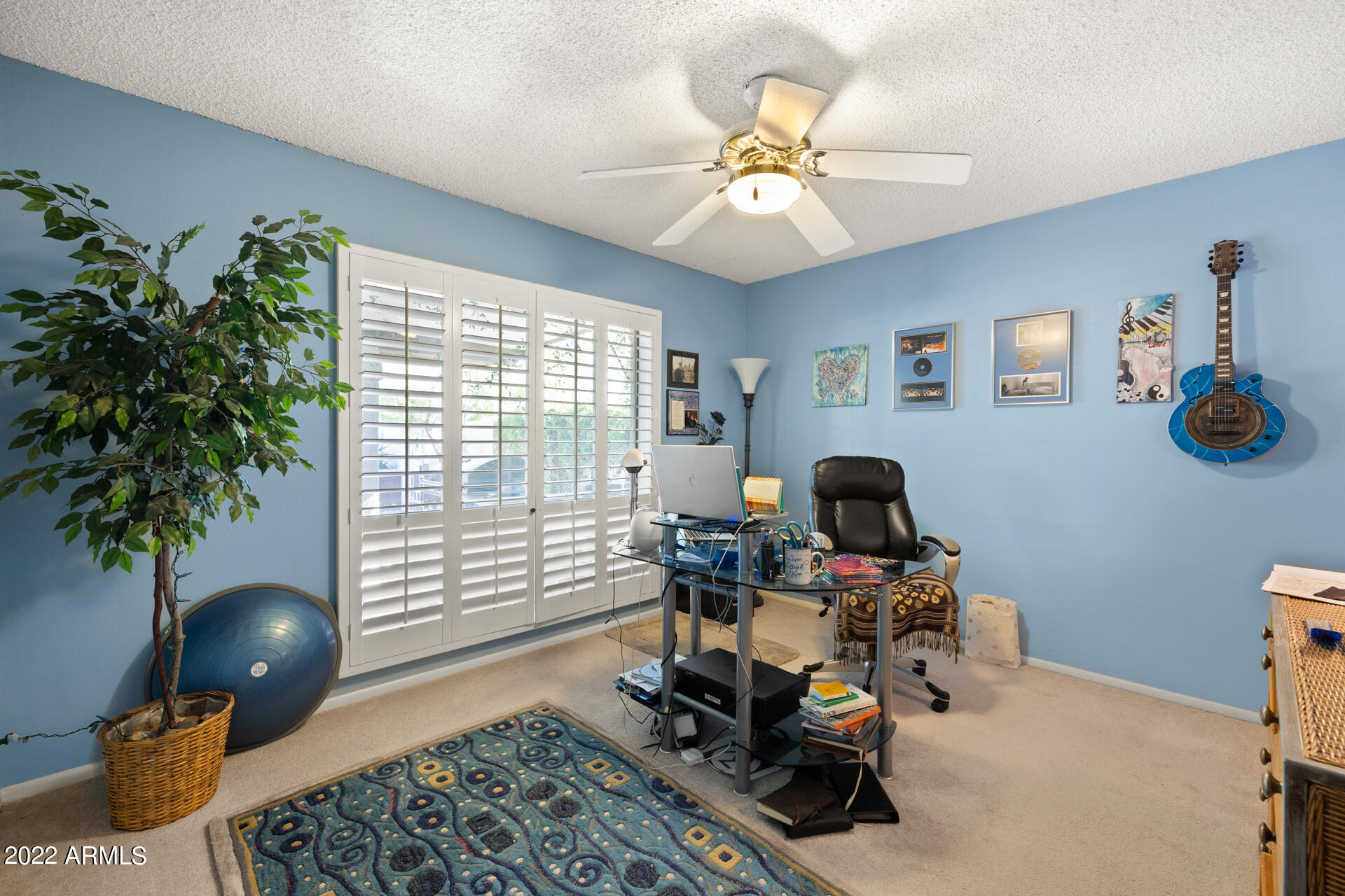 8717 N AVENIDA DEL SOL Drive