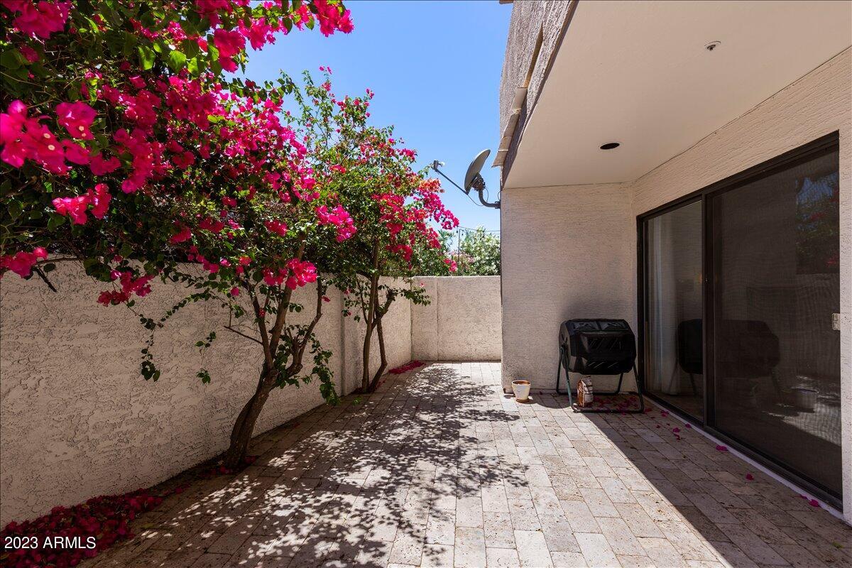 3030 N HAYDEN Road Unit: 37
