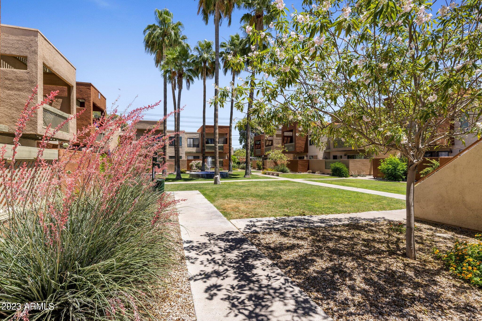 3500 N HAYDEN Road Unit: 504