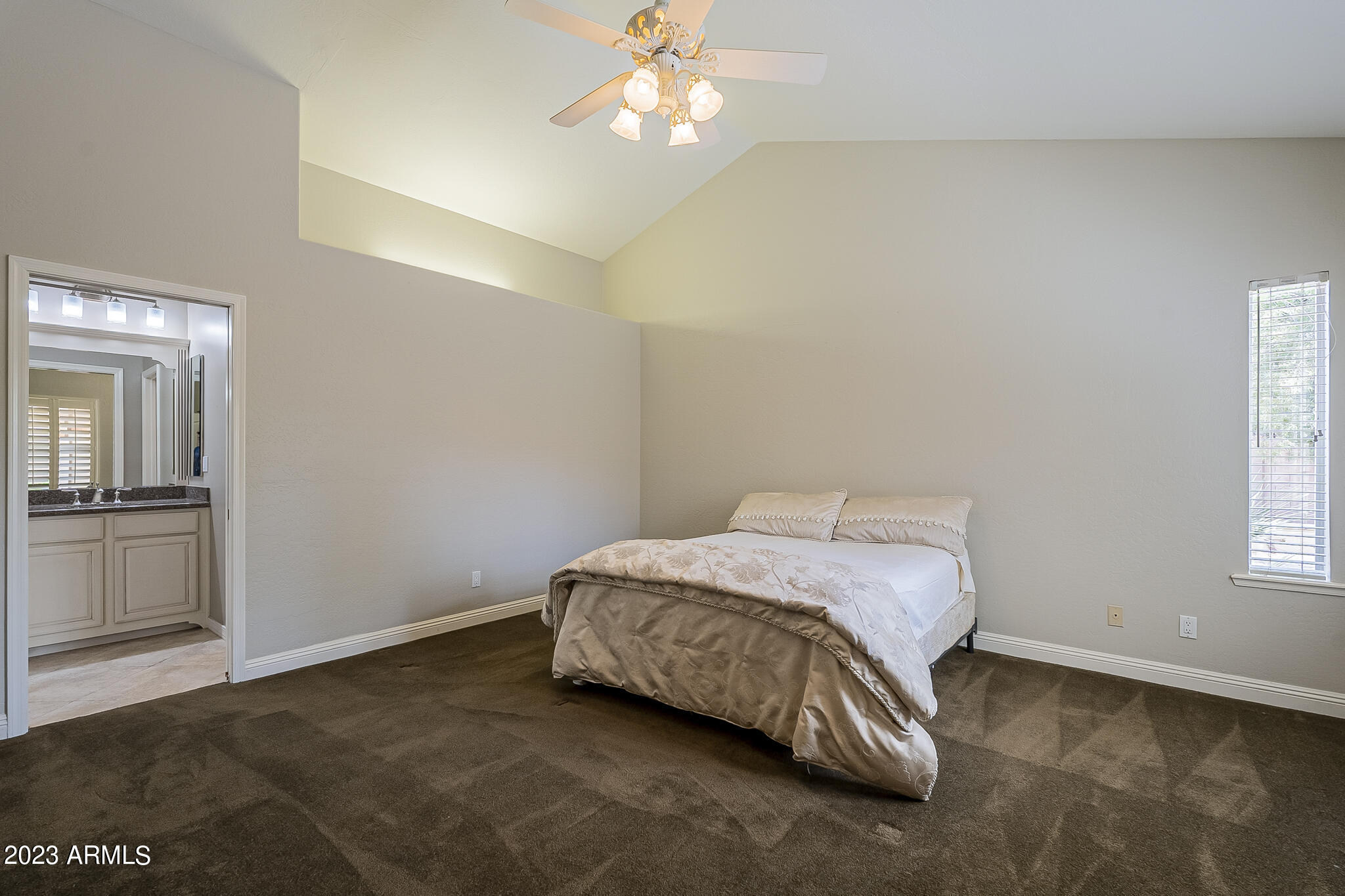 3436 E Desert Broom Way