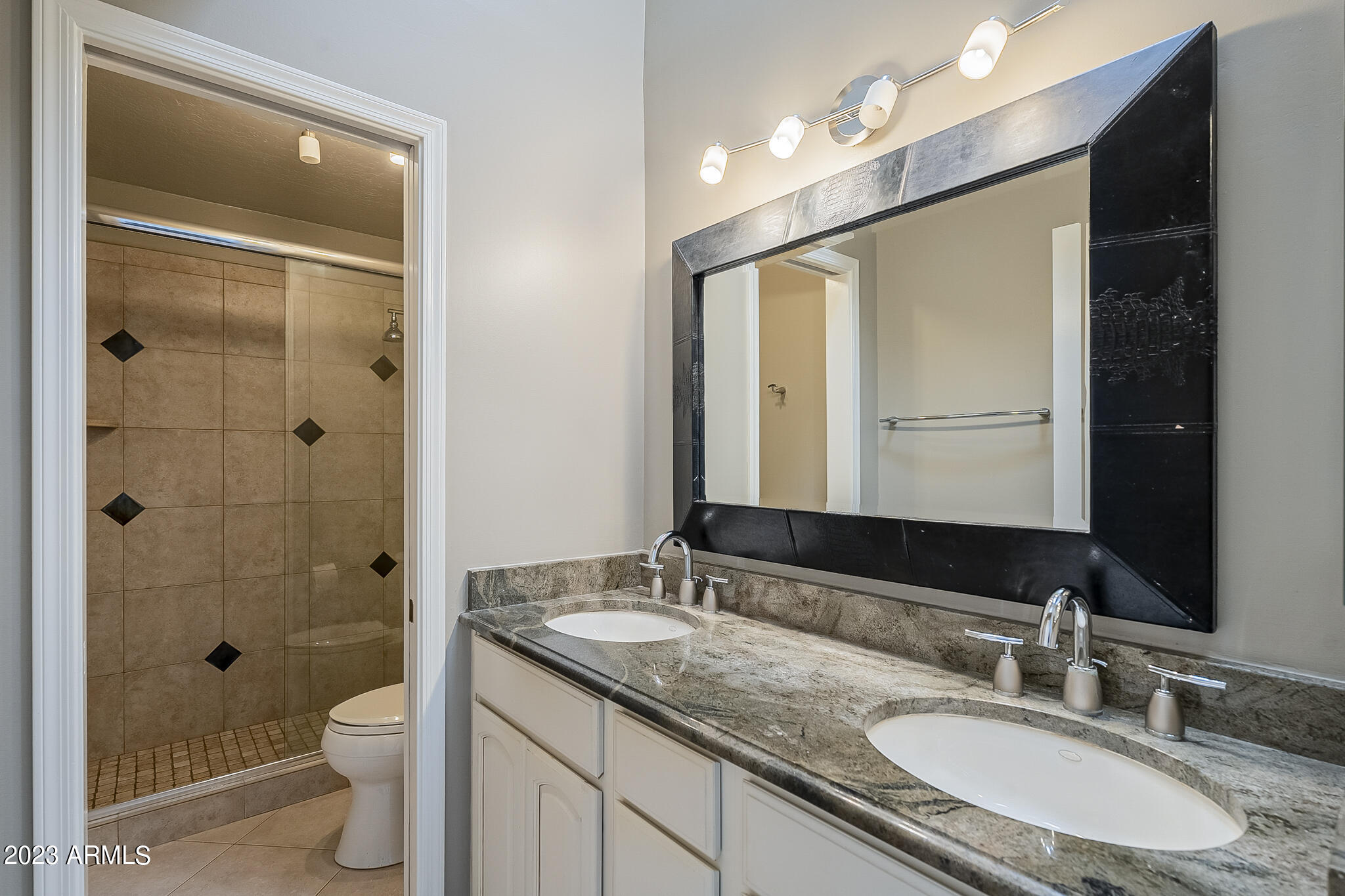 3436 E Desert Broom Way