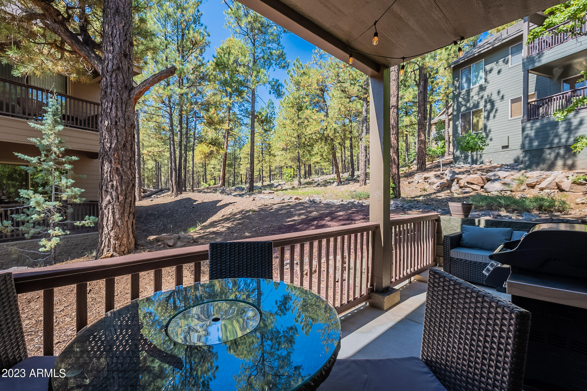 4800 W BRAIDED REIN --
