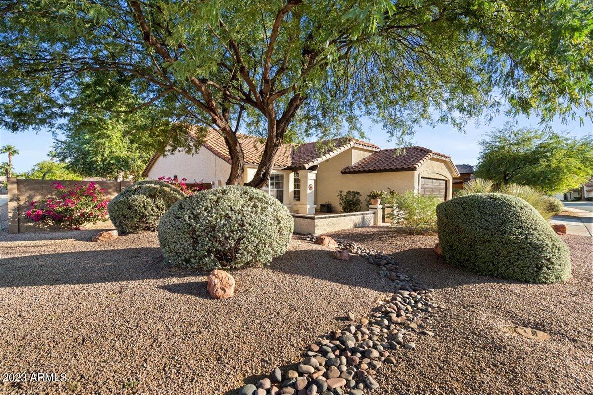 14229 N 56TH Place