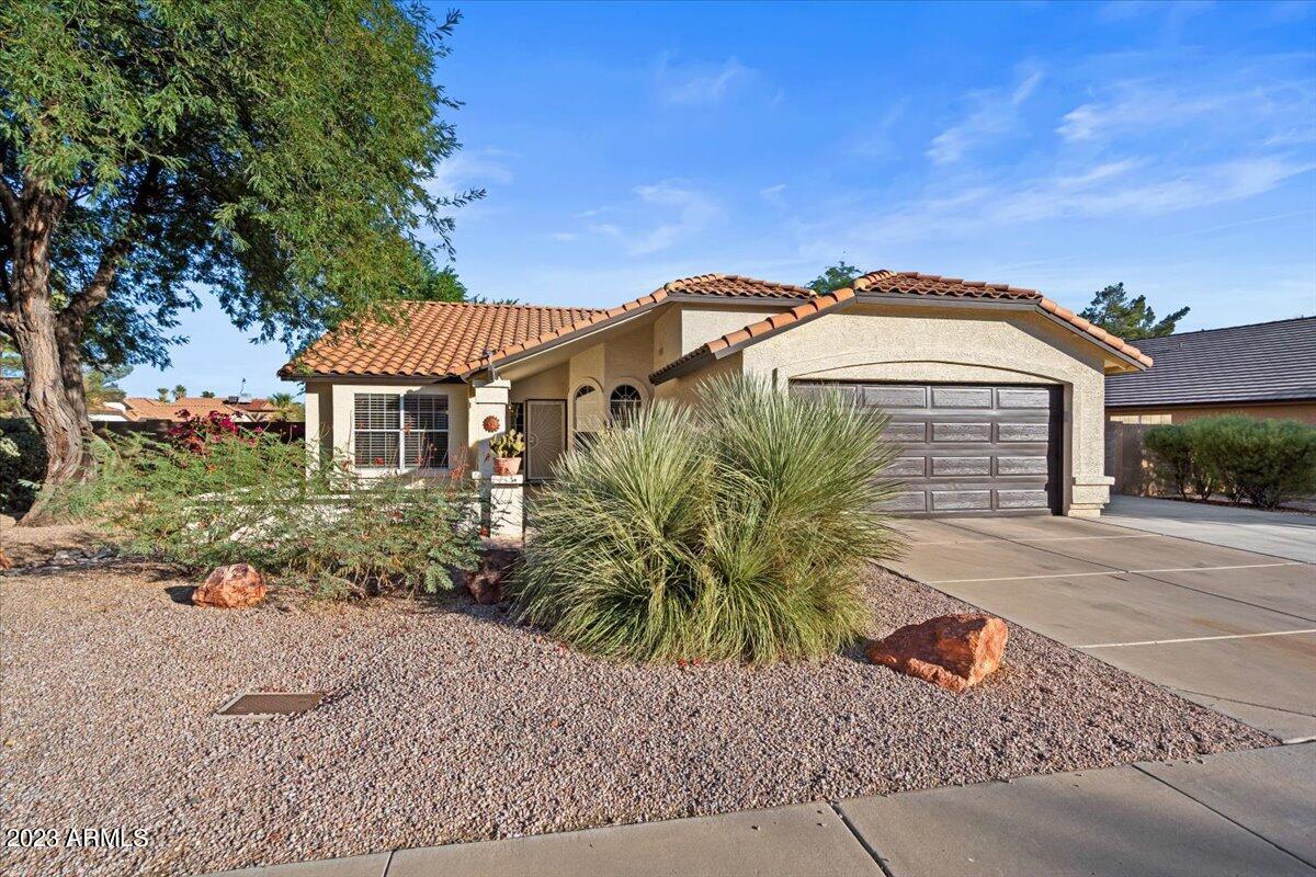 14229 N 56TH Place