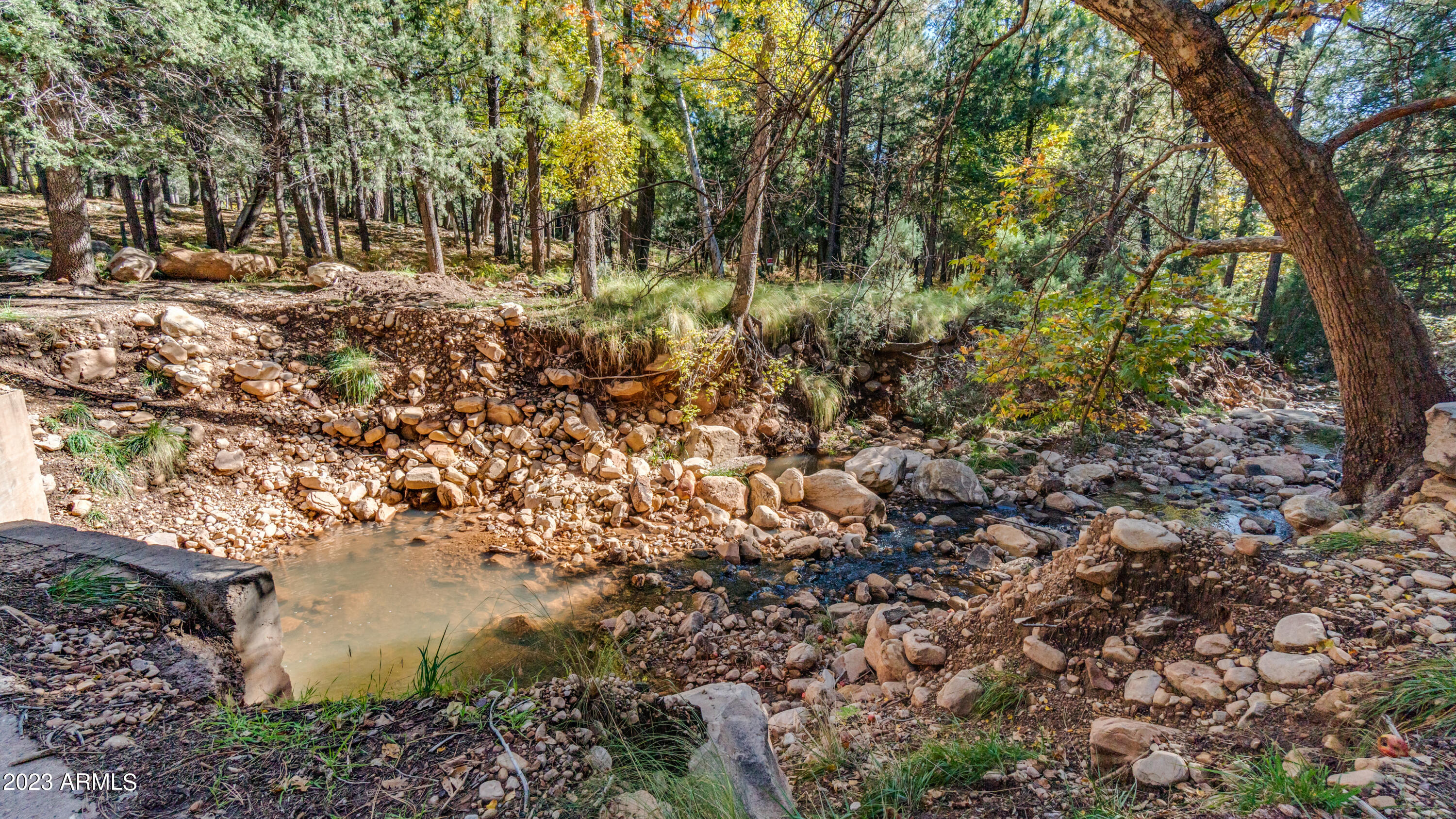 131 E JACKSHOE Trail