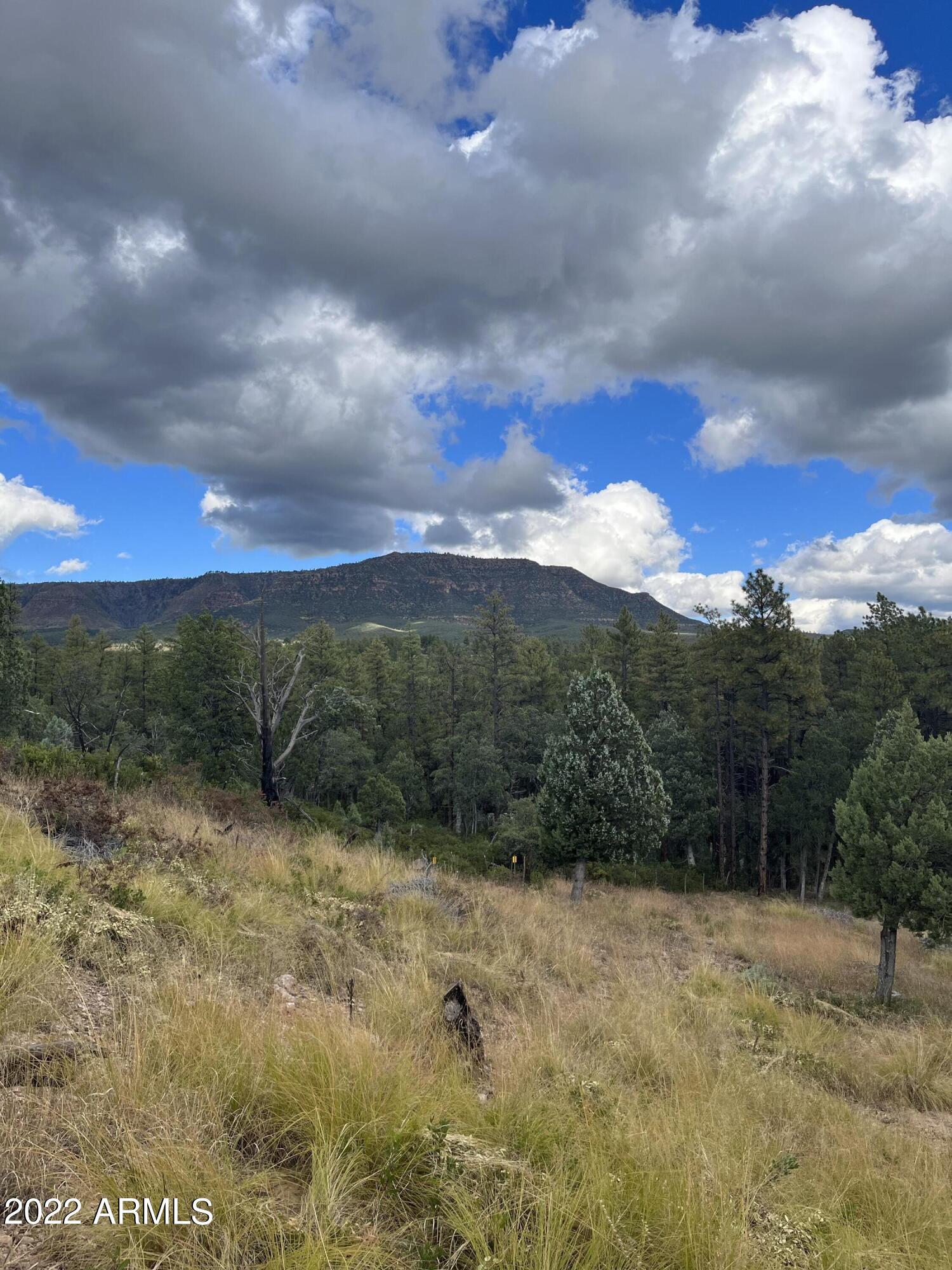 131 E JACKSHOE Trail