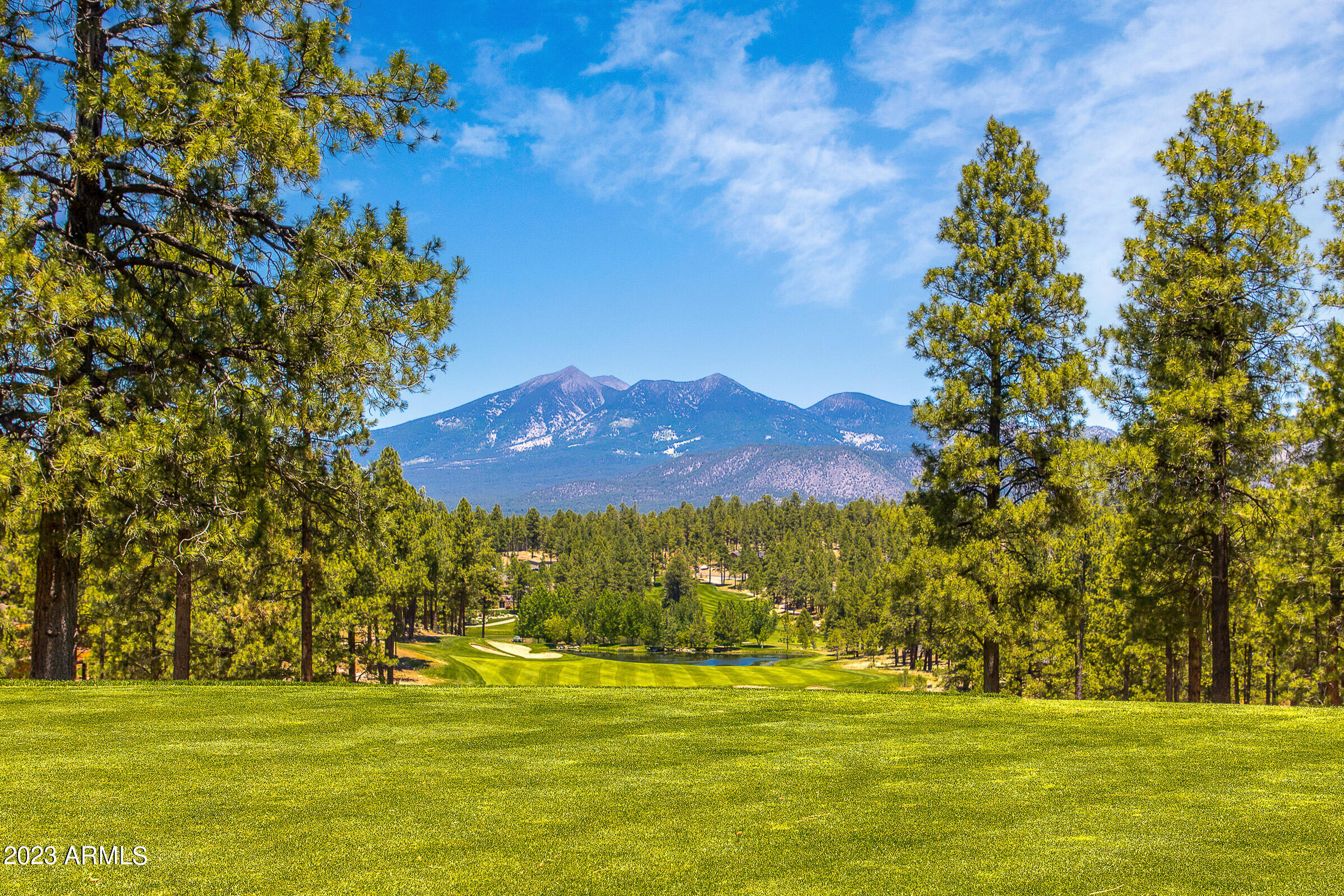 2685 S Pinyon Jay Drive