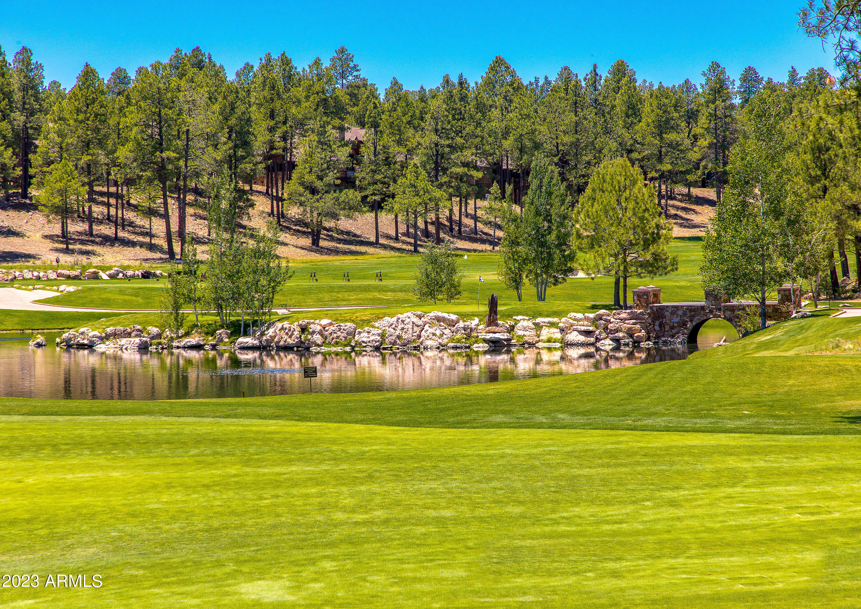 2685 S Pinyon Jay Drive
