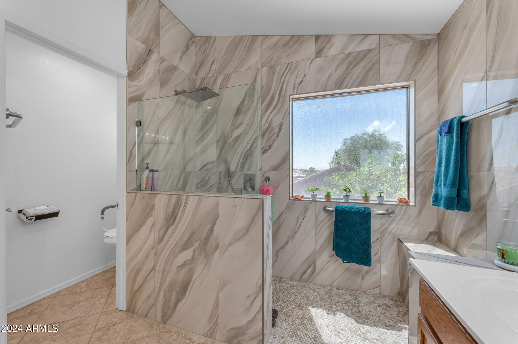 10881 W CARLOTA Lane