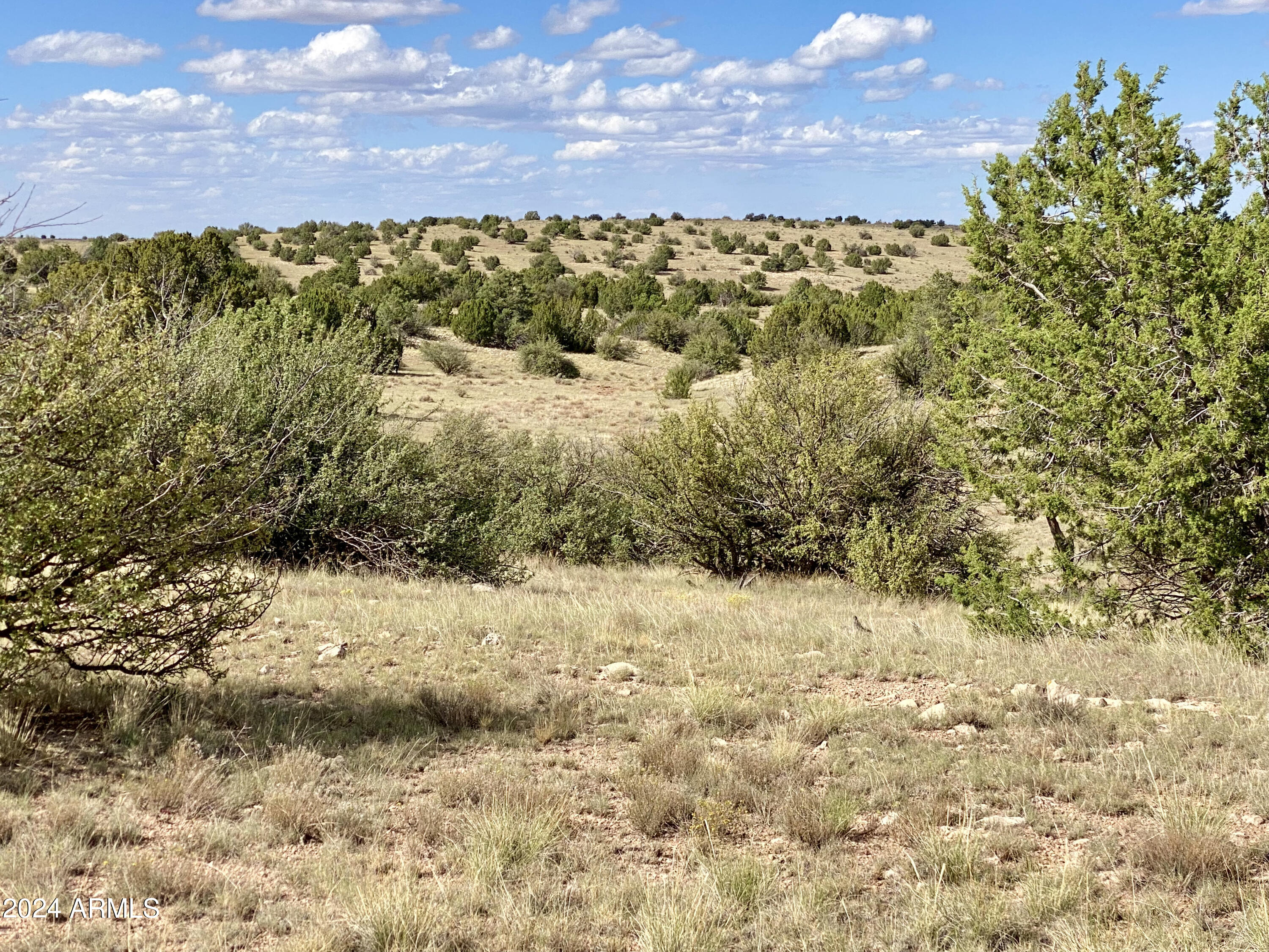 5733 W CLOVE HITCH Road # 356