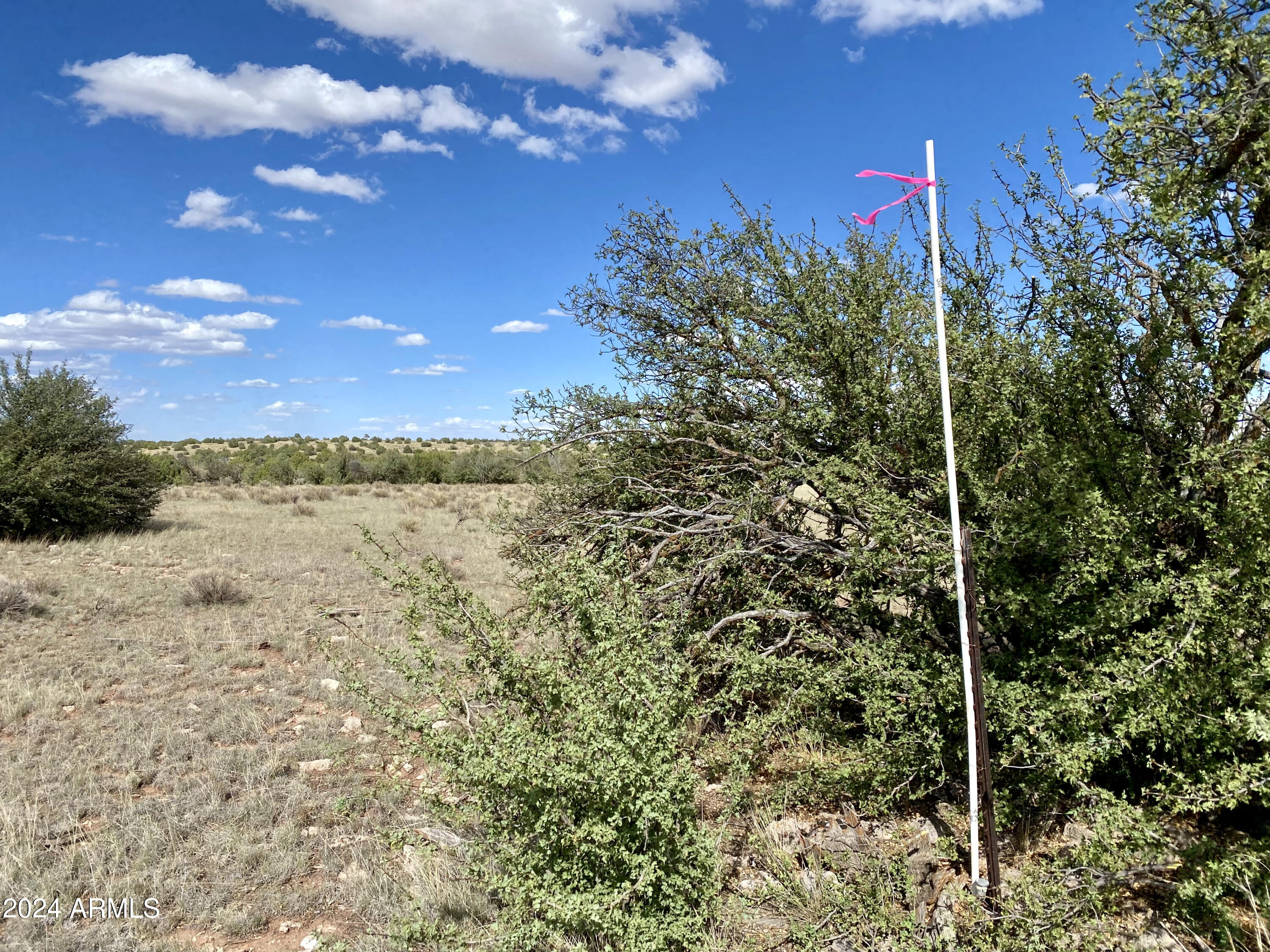 5733 W CLOVE HITCH Road # 356