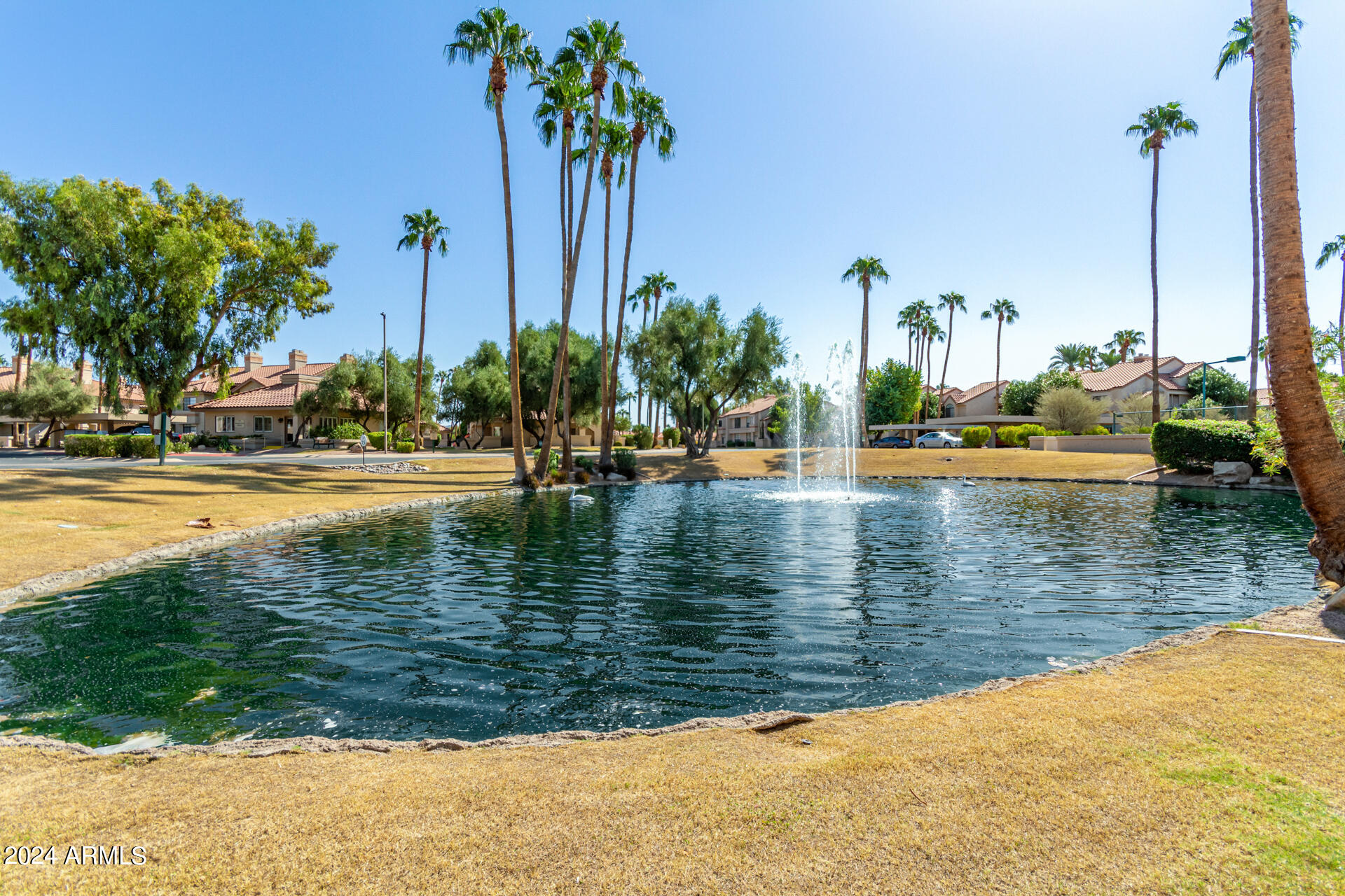 9705 E Mountain View Road # 1168