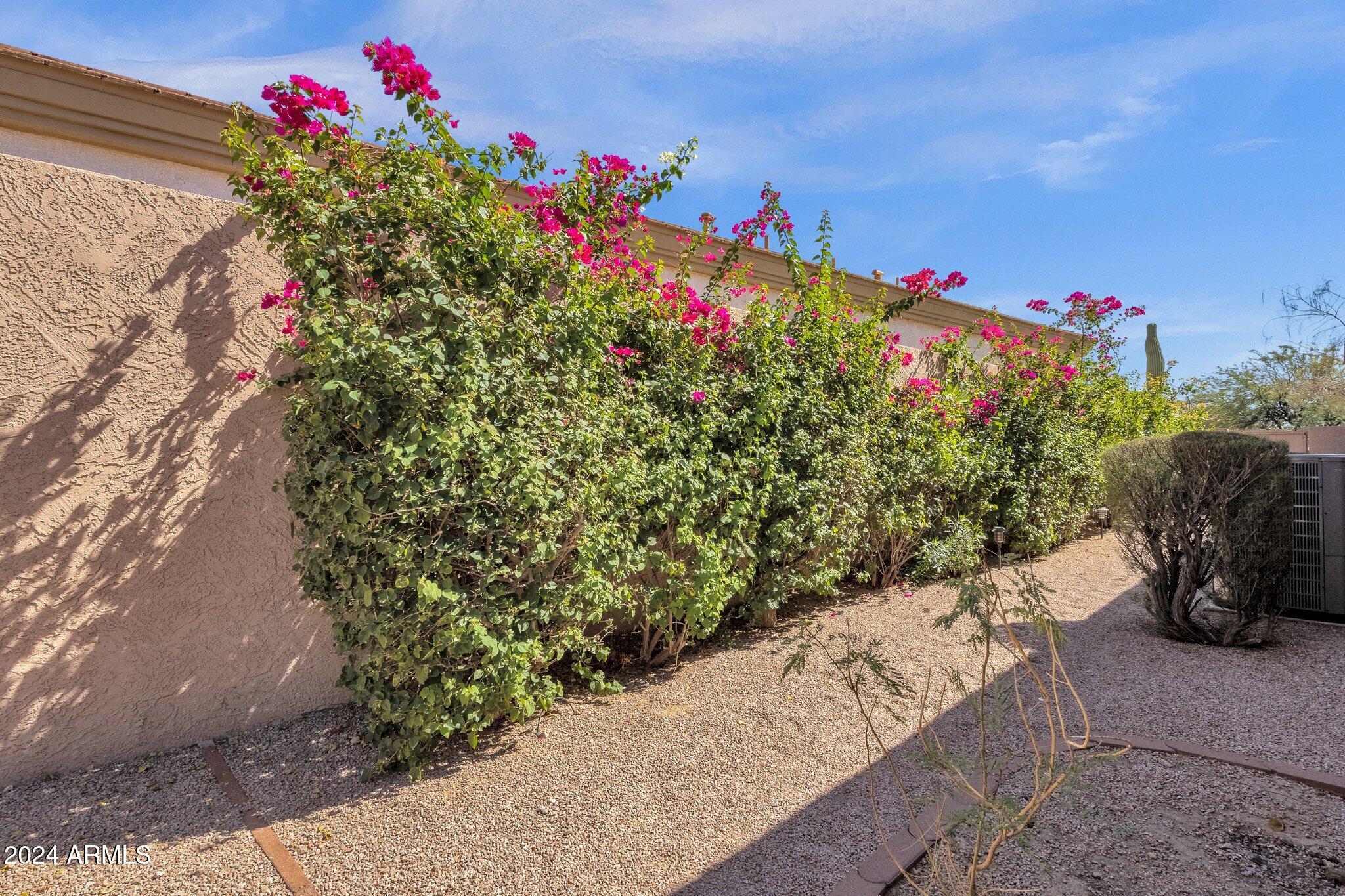 6334 E VIEWMONT Drive # 46