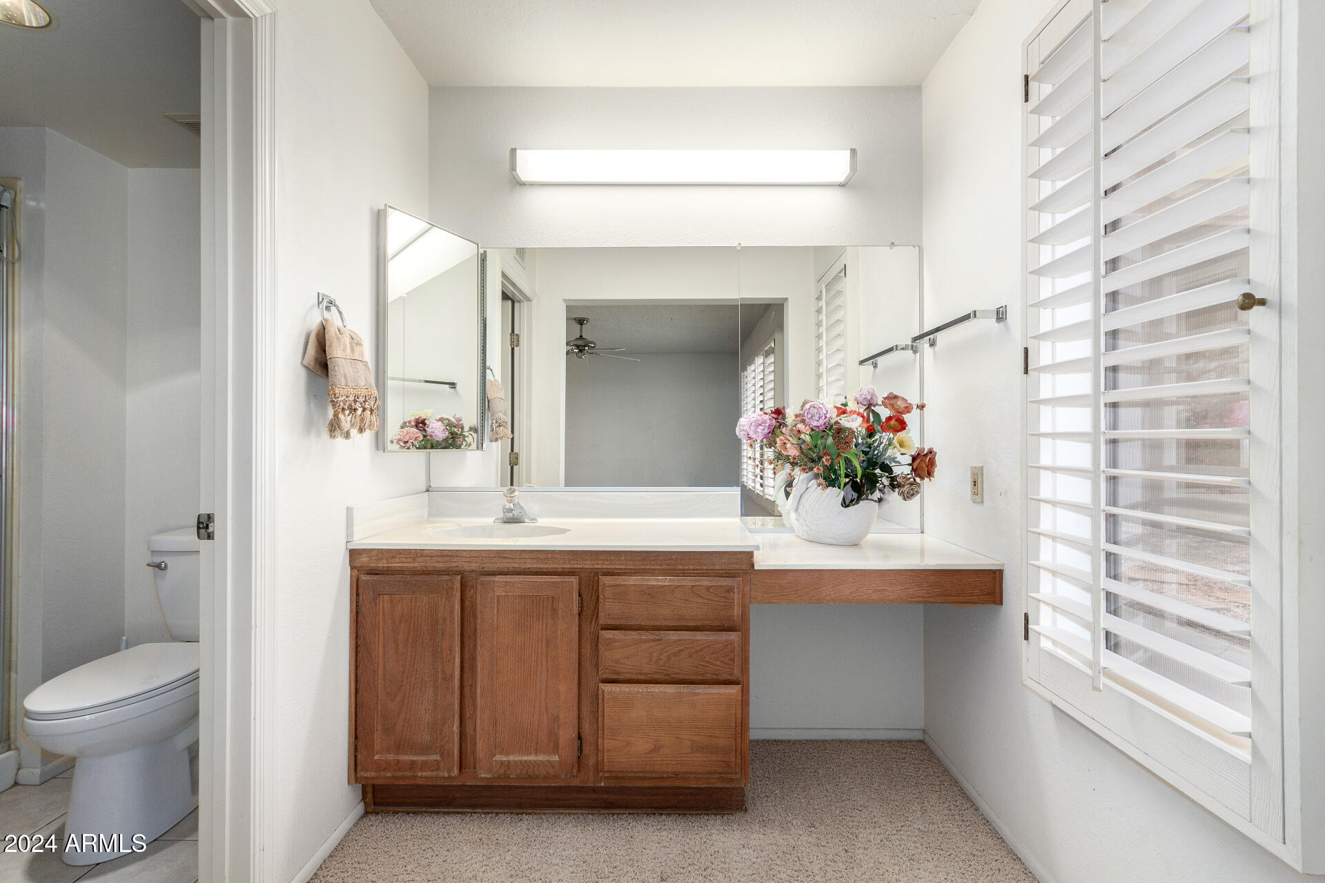 17218 N DESERT GLEN Drive