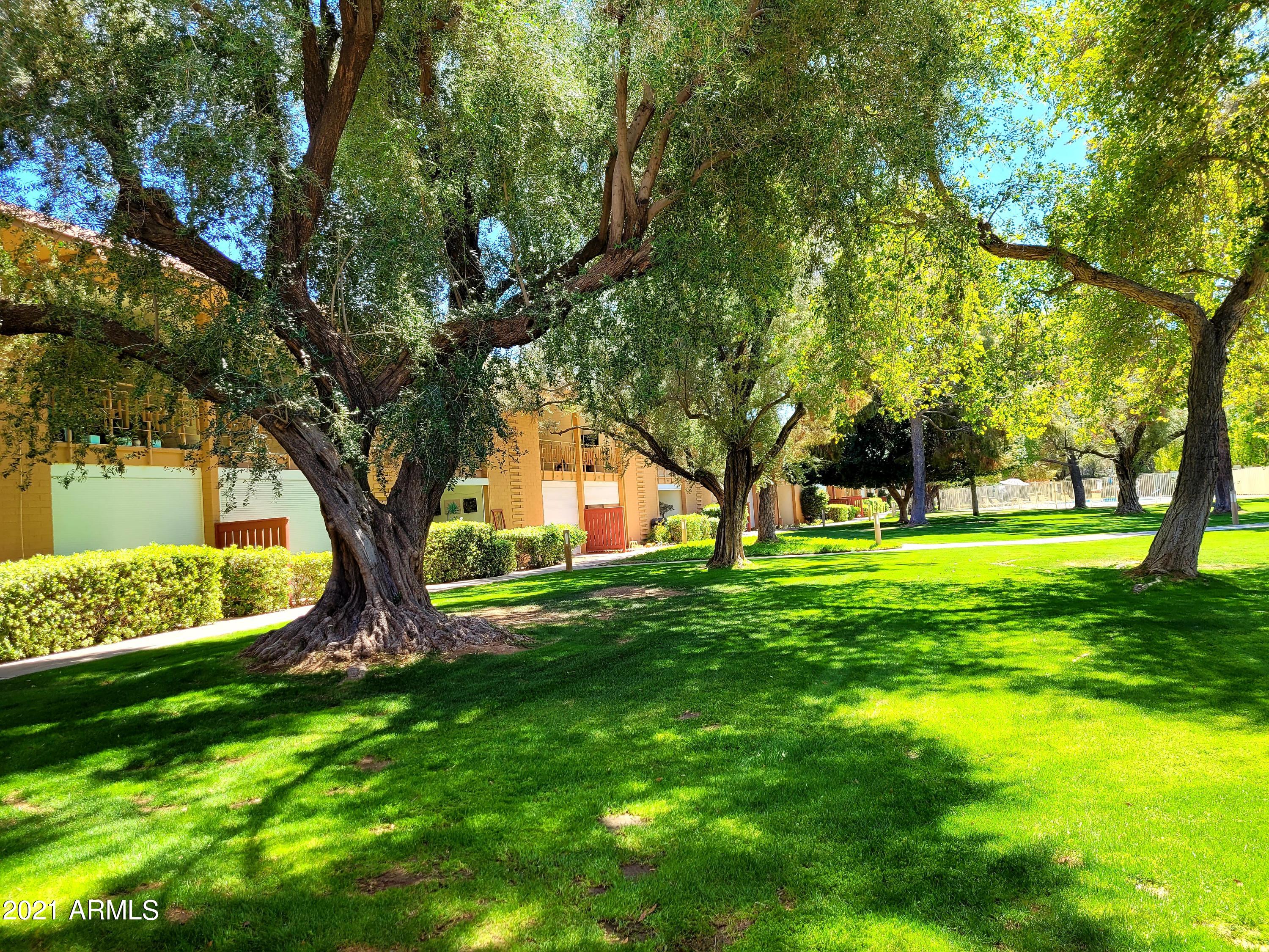 6125 E INDIAN SCHOOL Road # 171