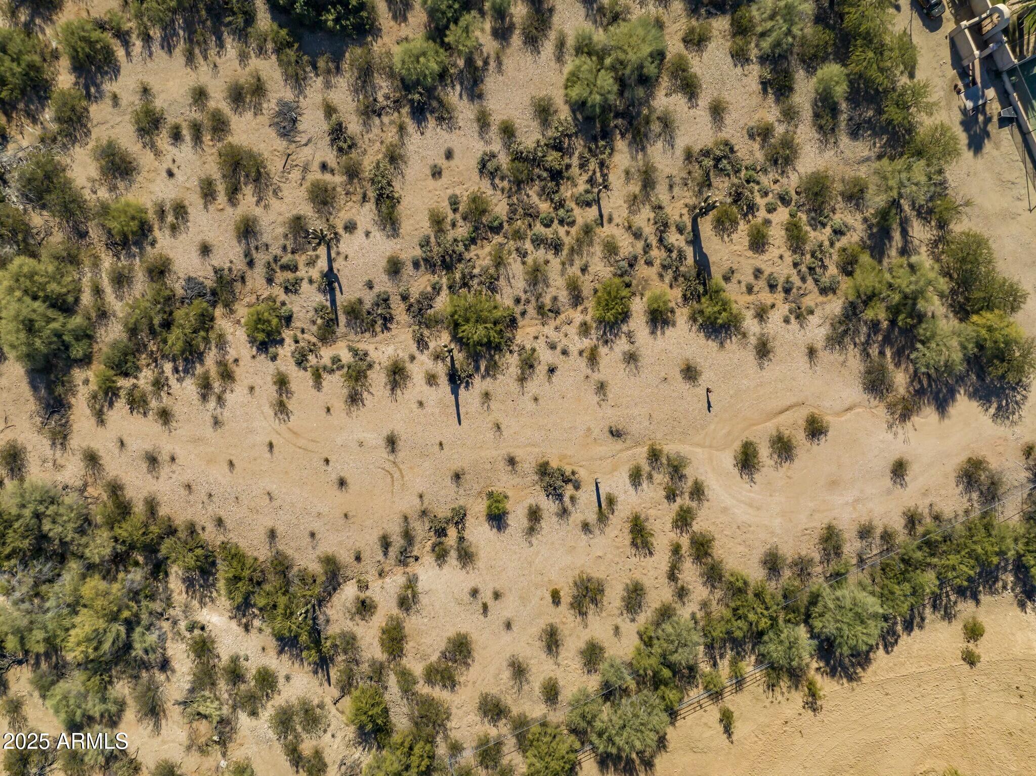 6515 E BLUEBIRD Lane # 1