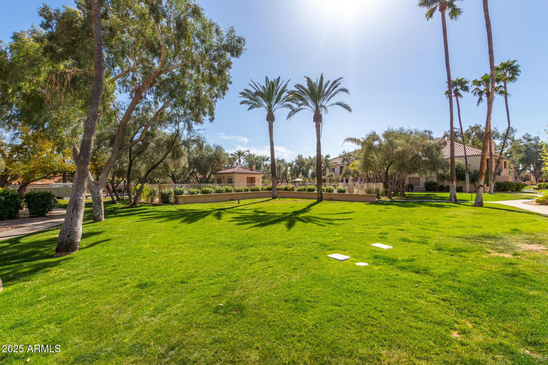 9711 E MOUNTAIN VIEW Road # 2524