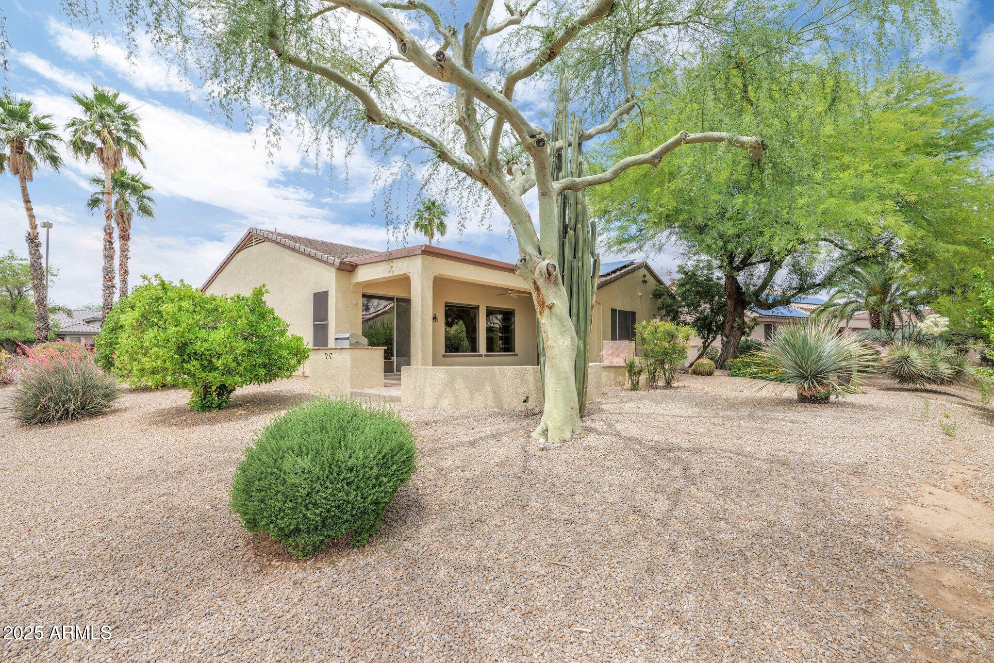 19803 N DESERT SONG Court