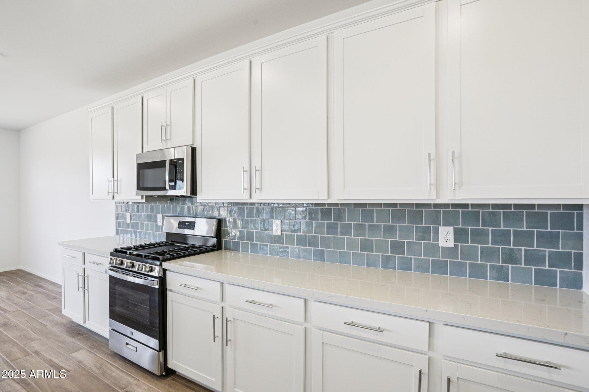 11796 N VANERO Court