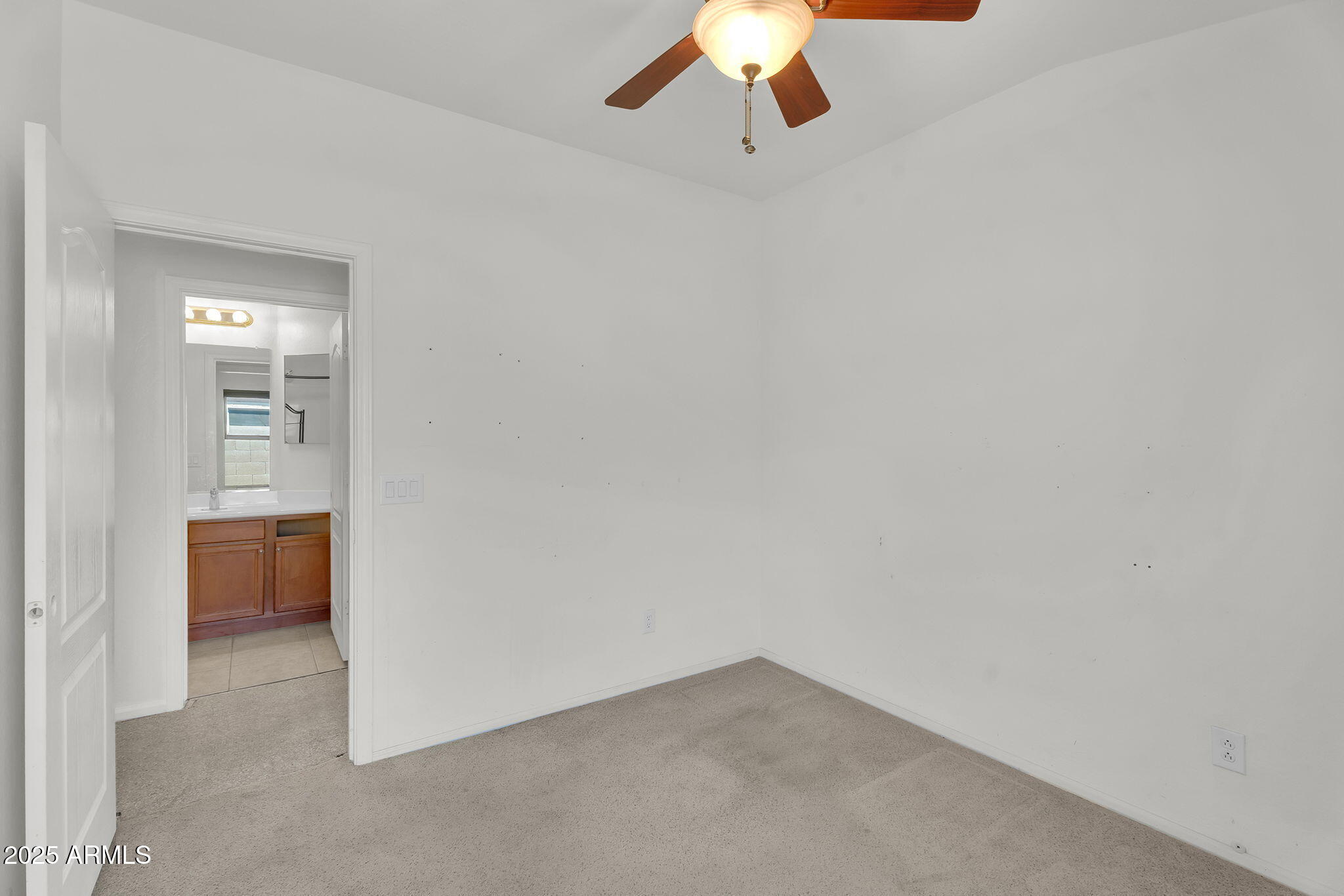 41419 W BRANDT Drive