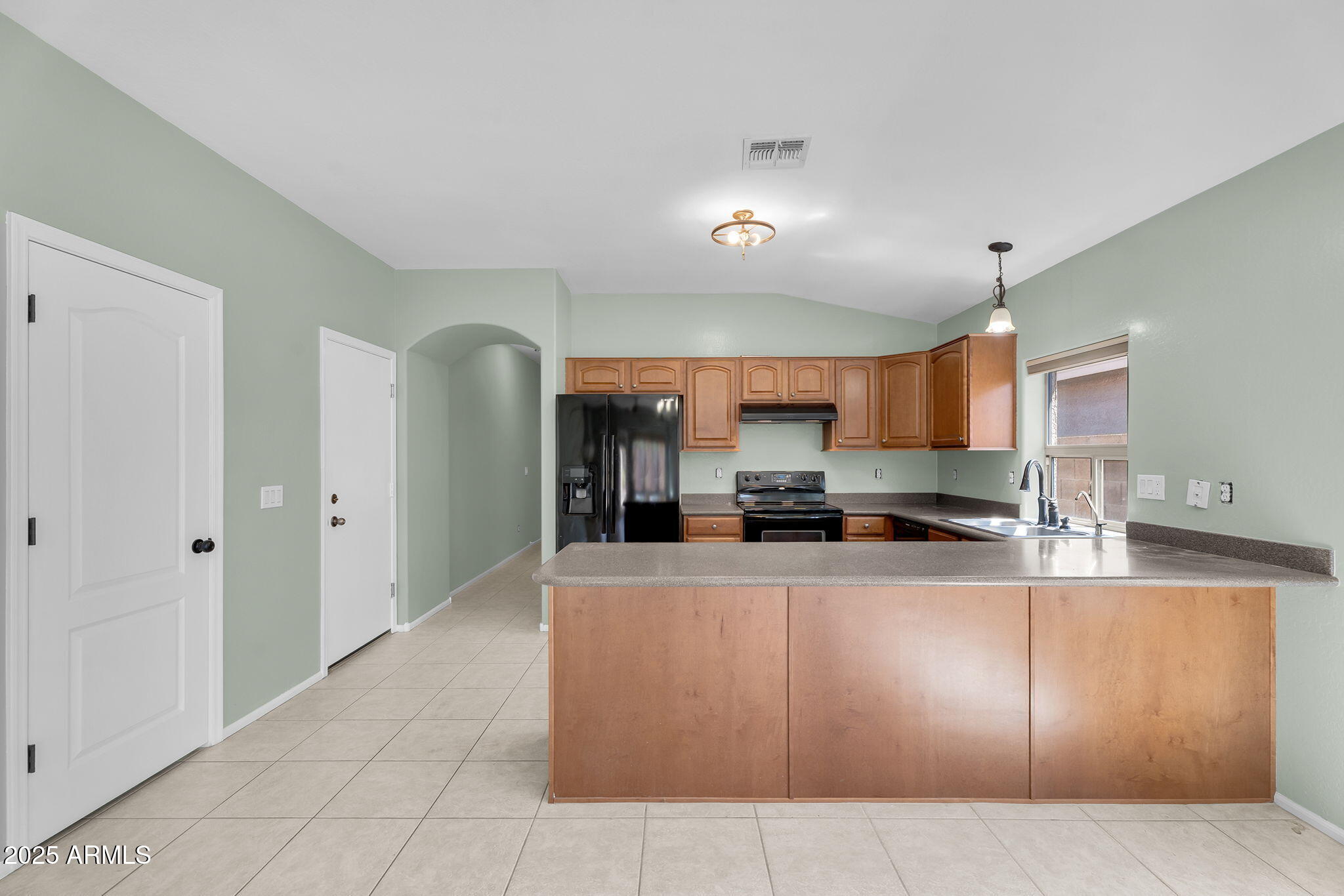 41419 W BRANDT Drive