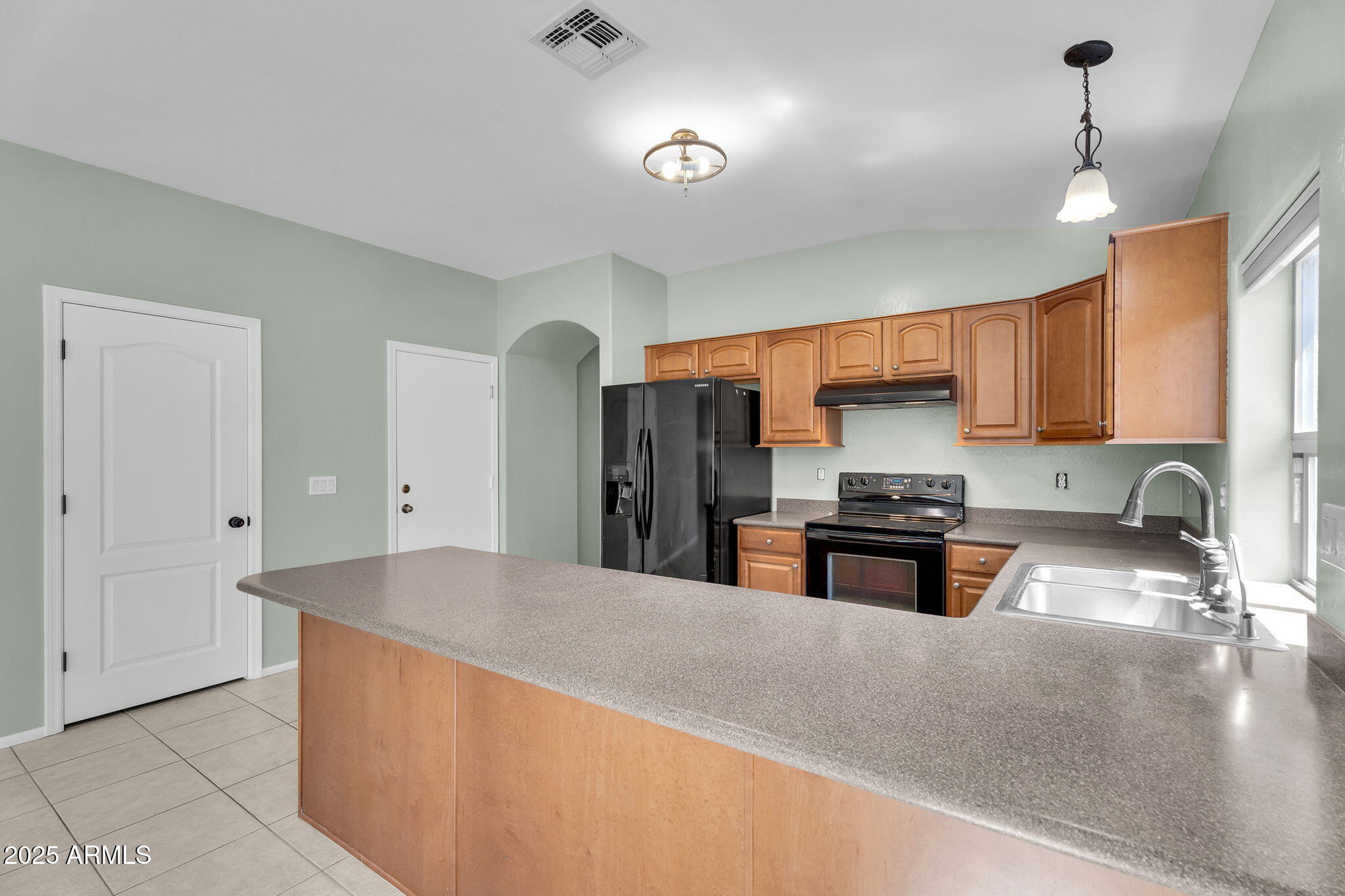 41419 W BRANDT Drive