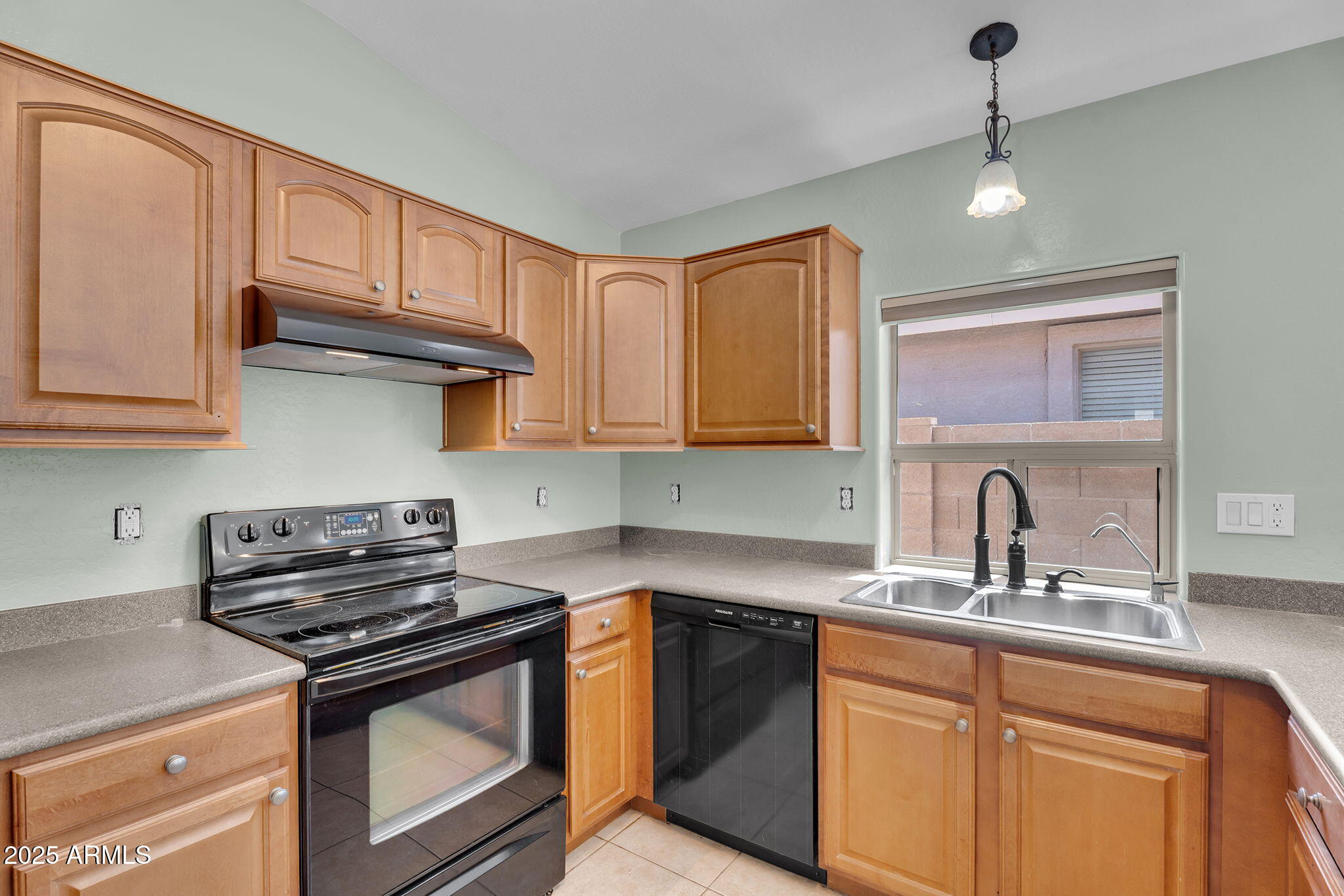 41419 W BRANDT Drive