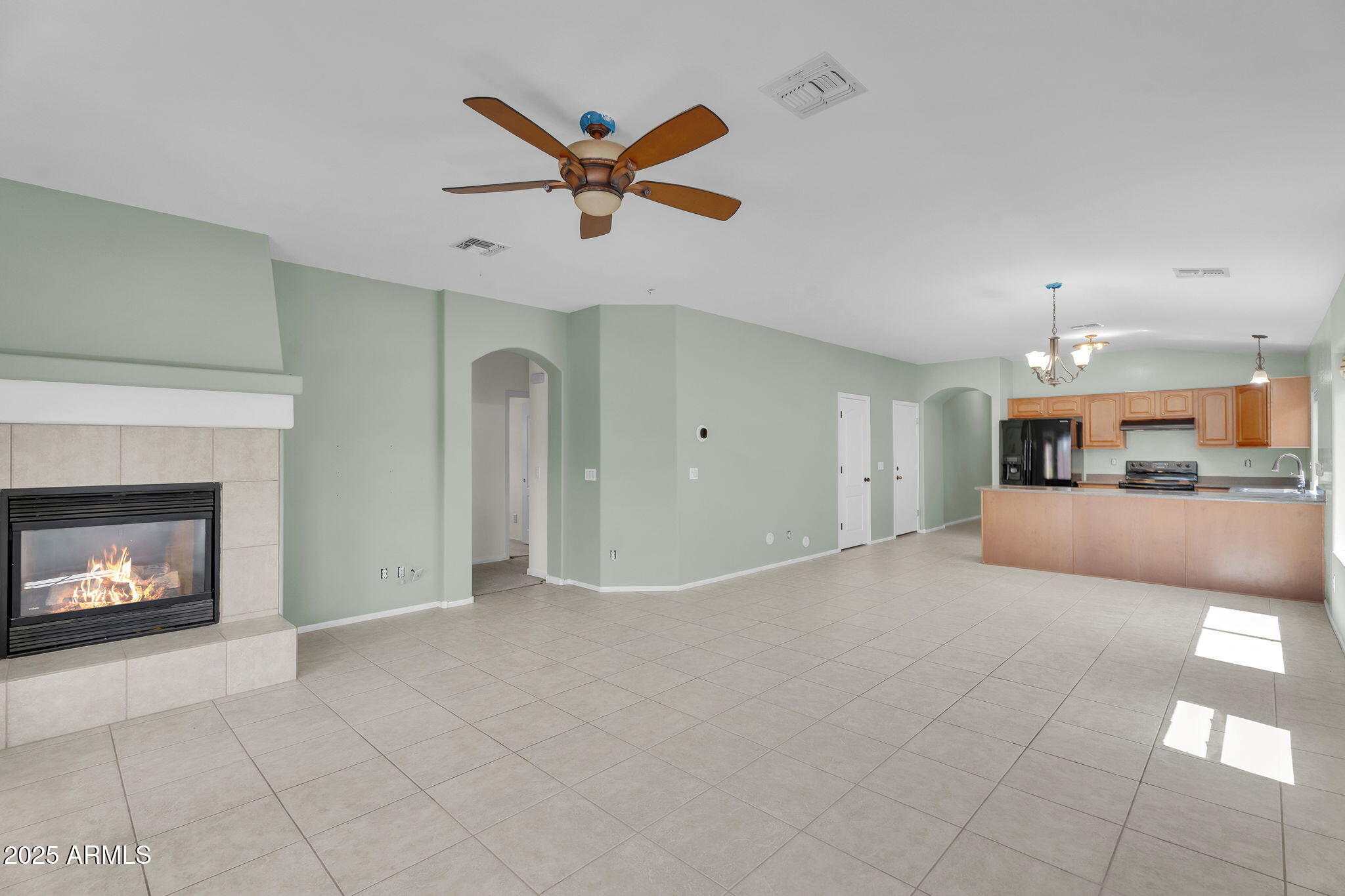 41419 W BRANDT Drive