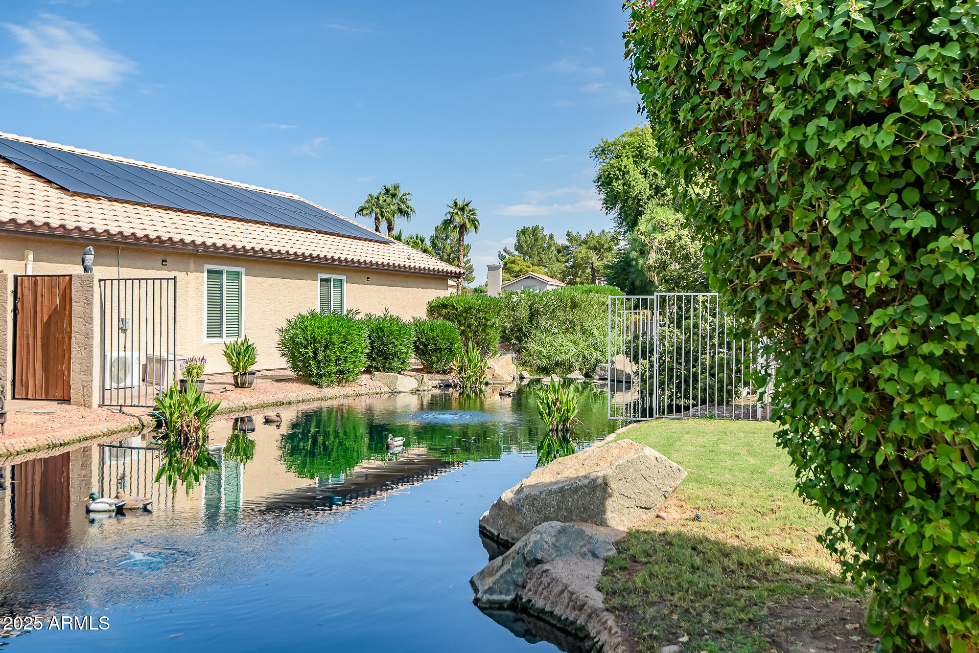 1438 E CINDY Street, Chandler