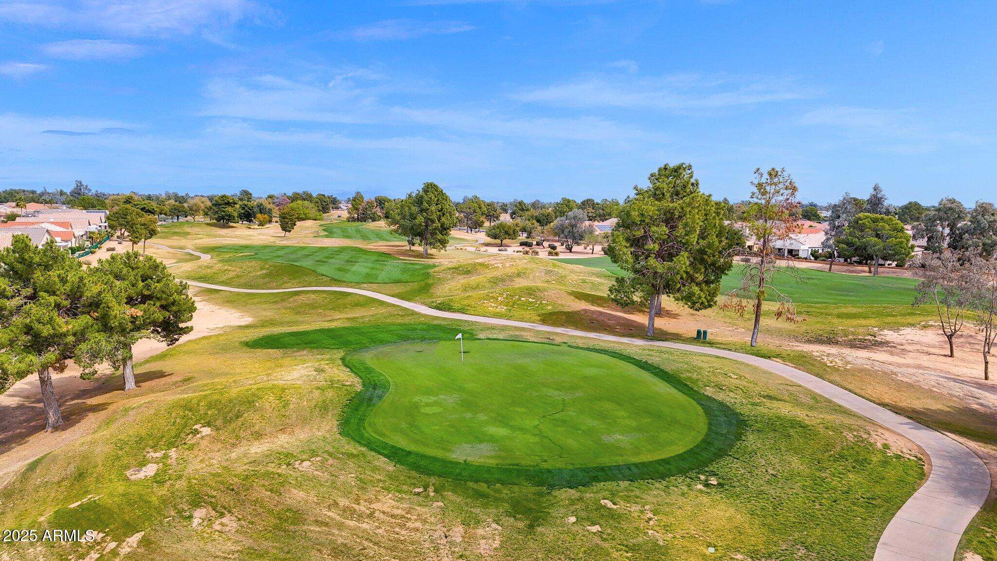 17443 N GOLDWATER Drive, Surprise