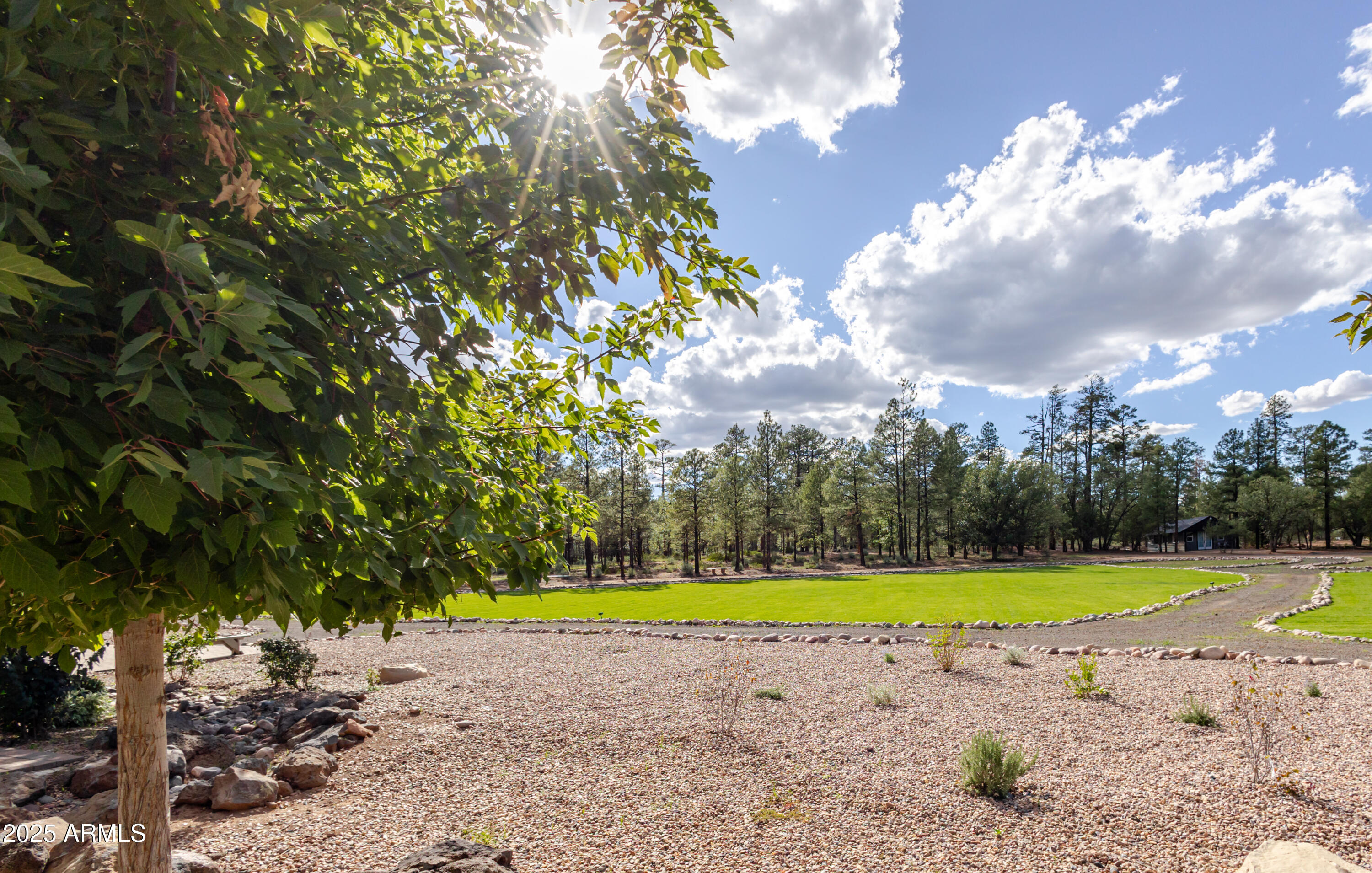 6385 W WHITE MOUNTAIN Boulevard