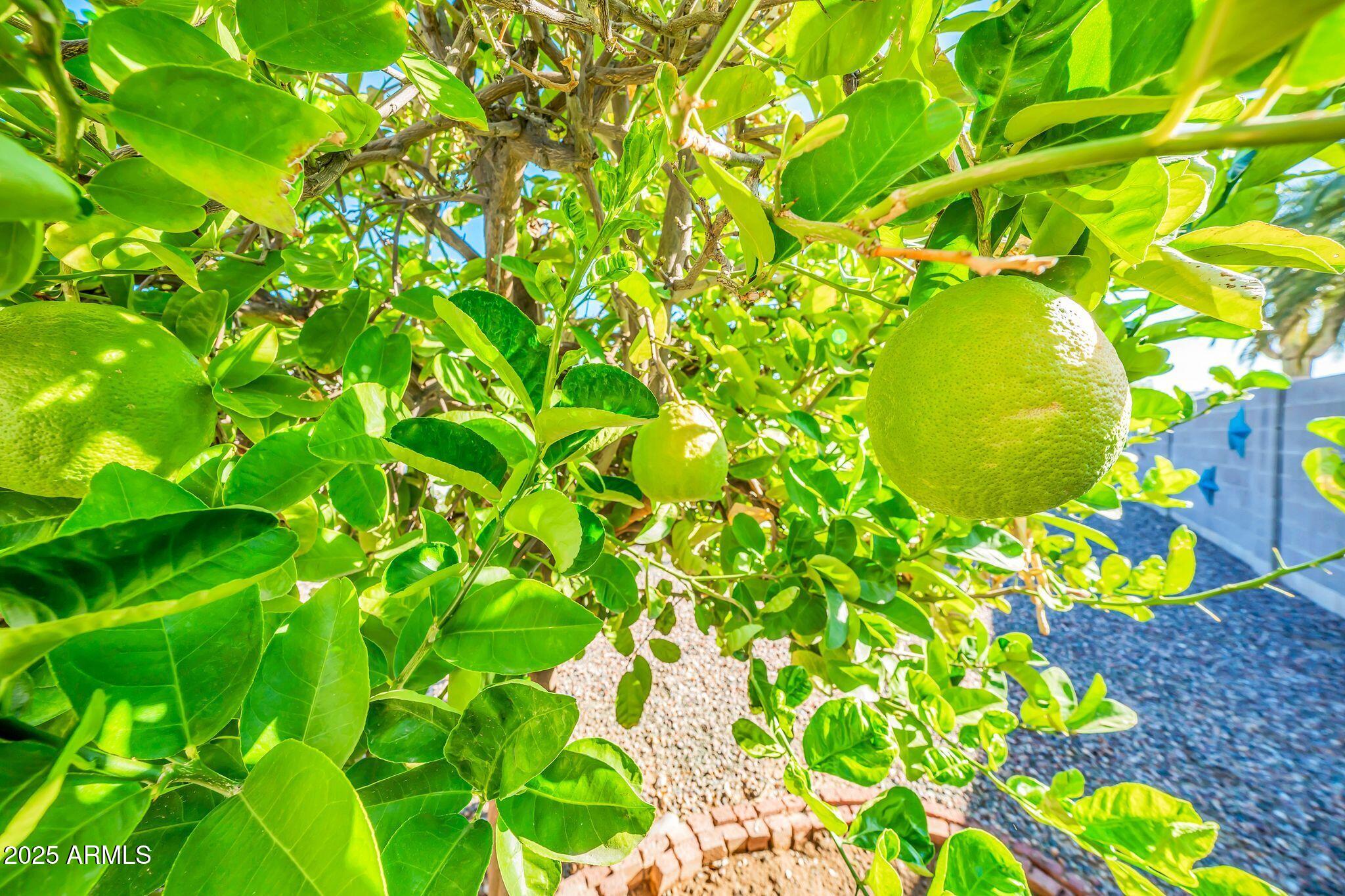 10517 W CUMBERLAND Drive