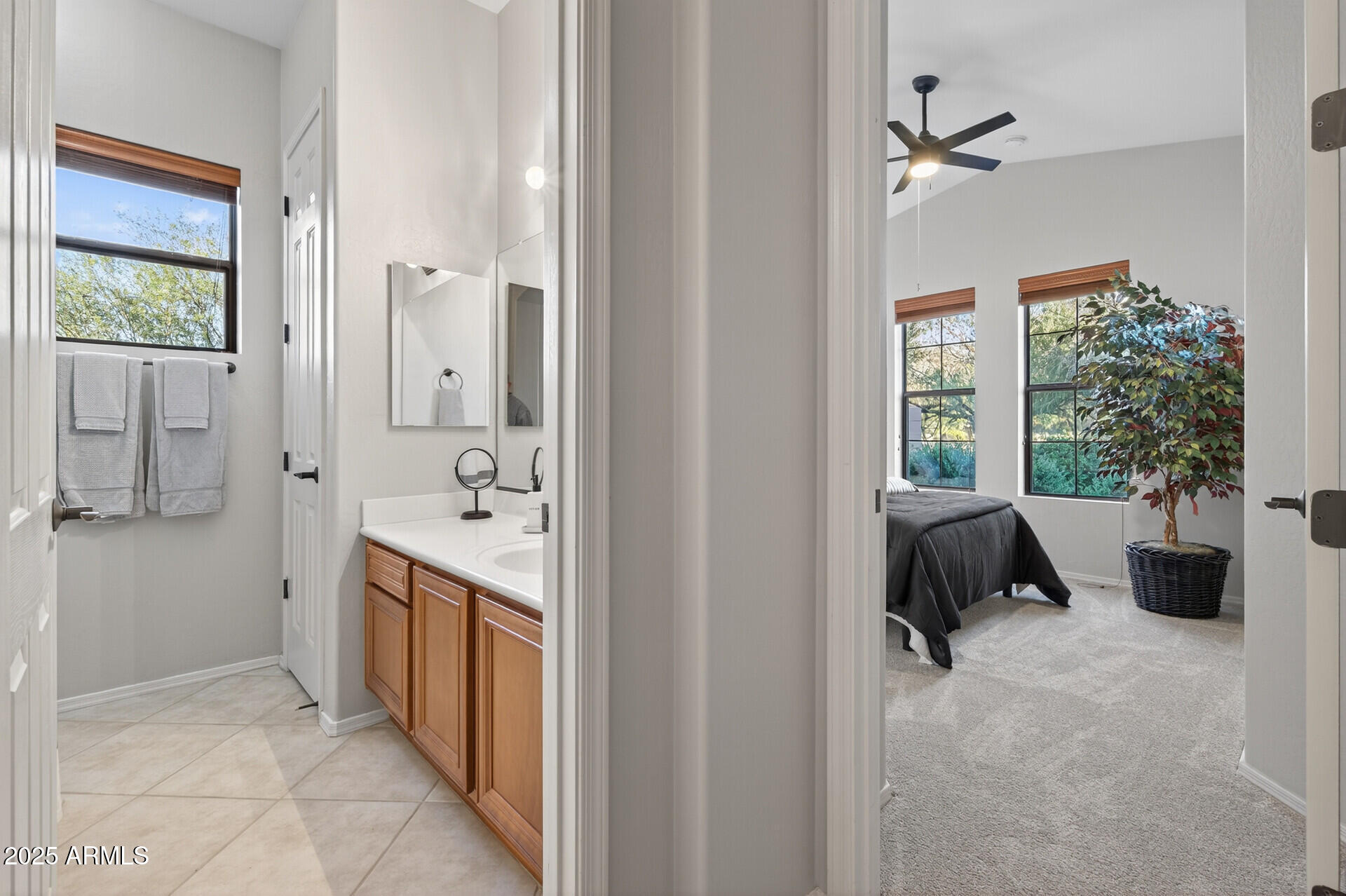 3558 N SONORAN Hills