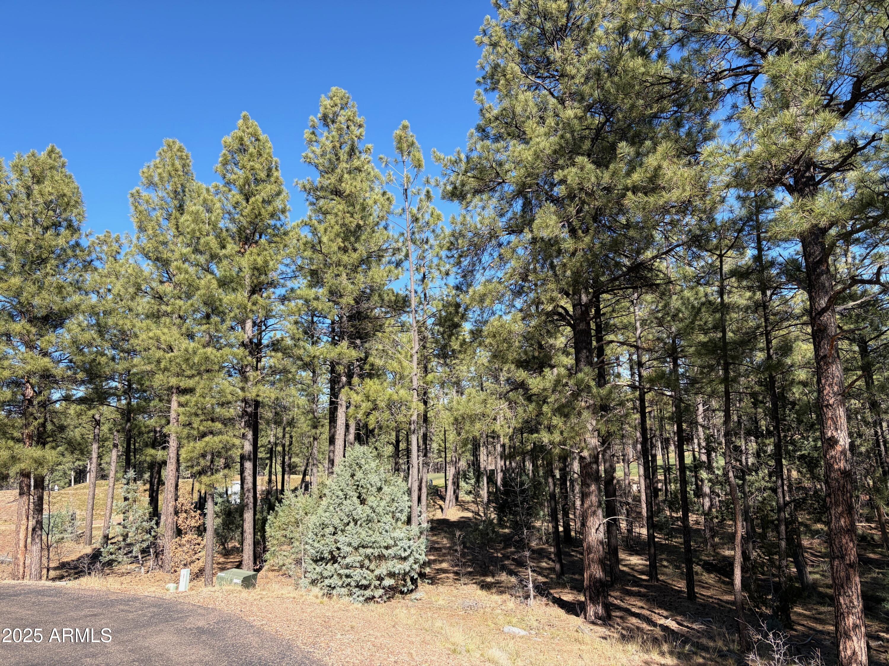 3680 W SAGE Lane 260