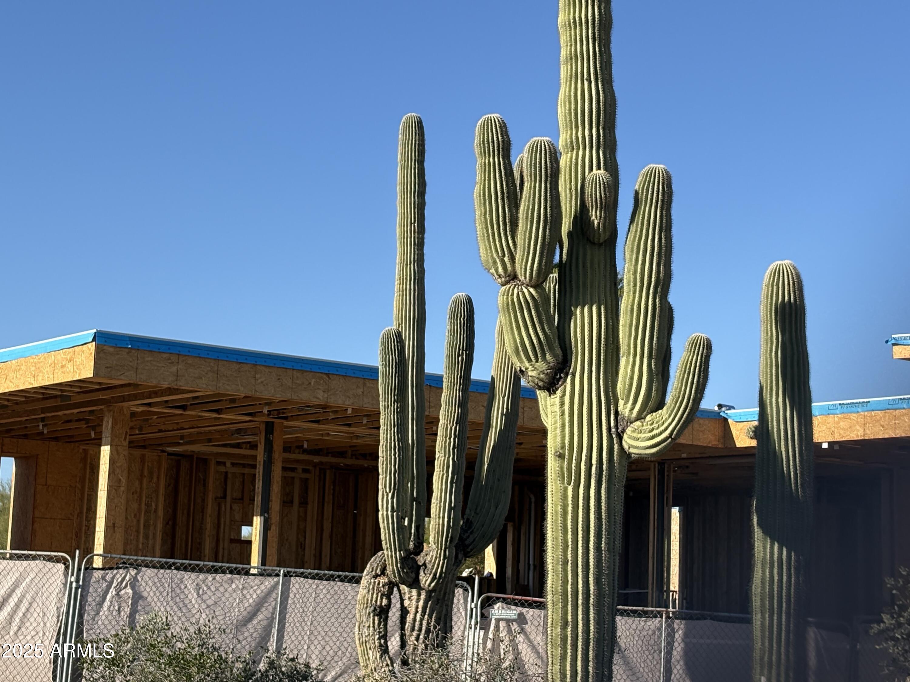 9300 E Via Montoya Place