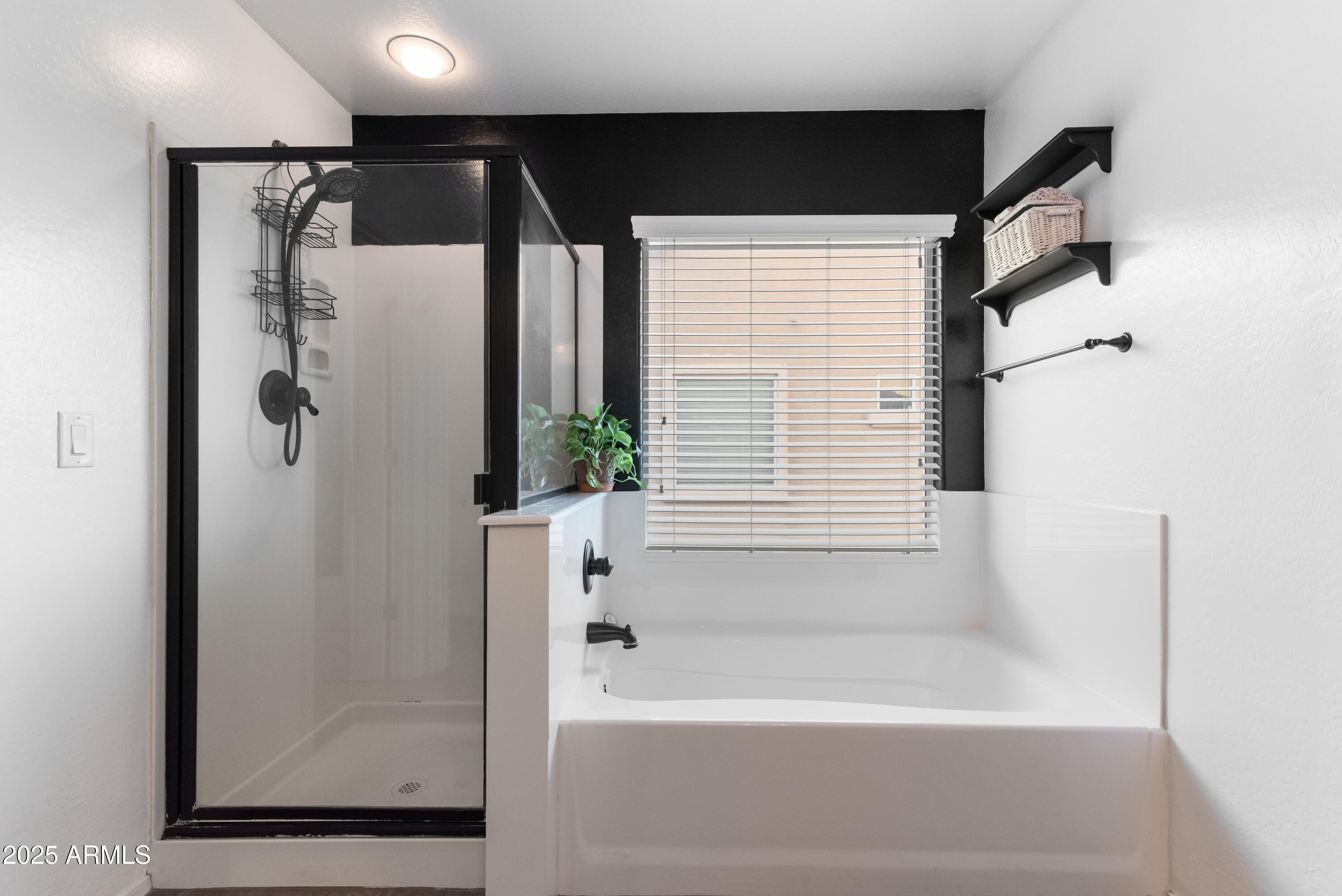 41172 W CAHILL Drive