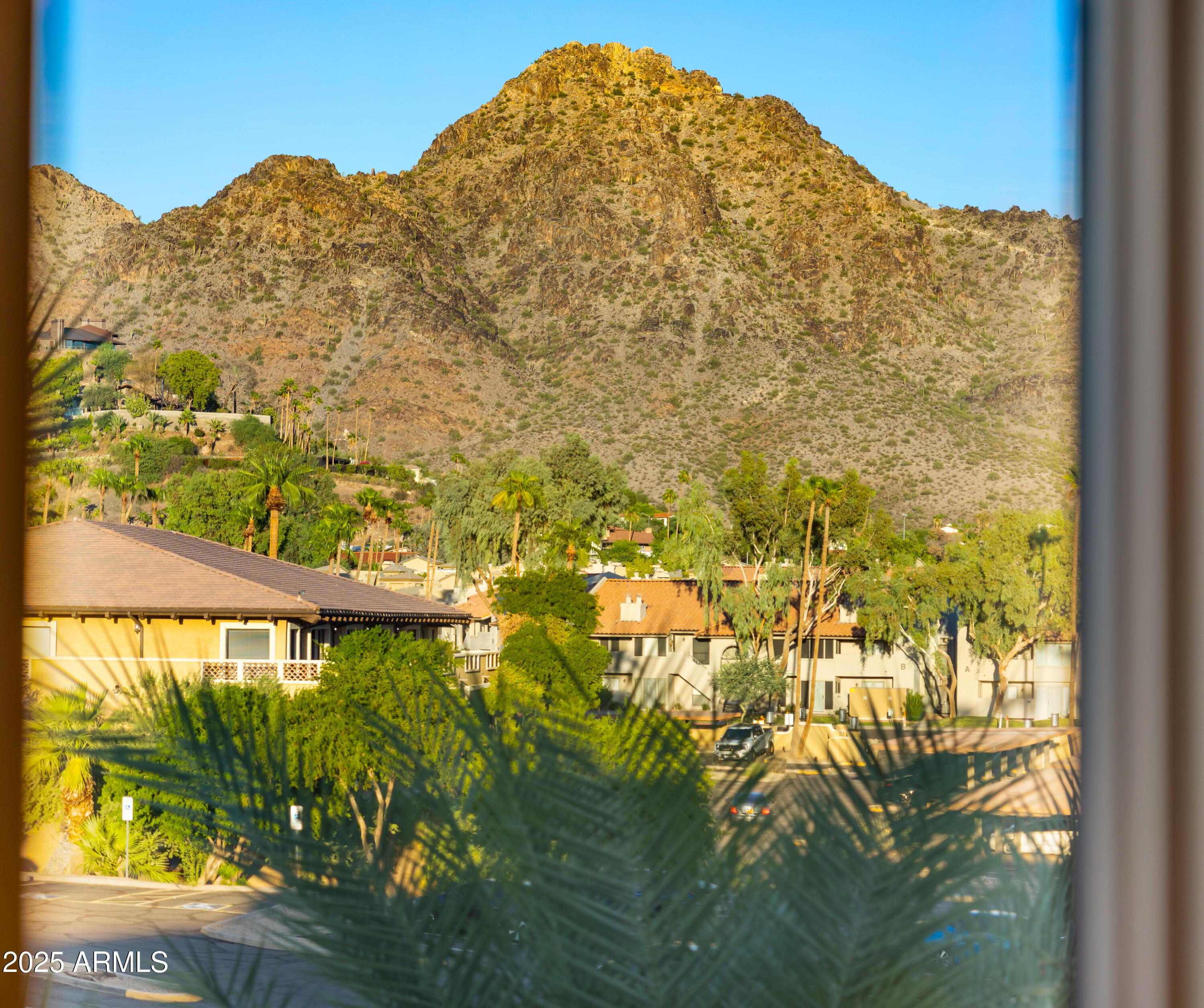 1717 E MORTEN Avenue 5