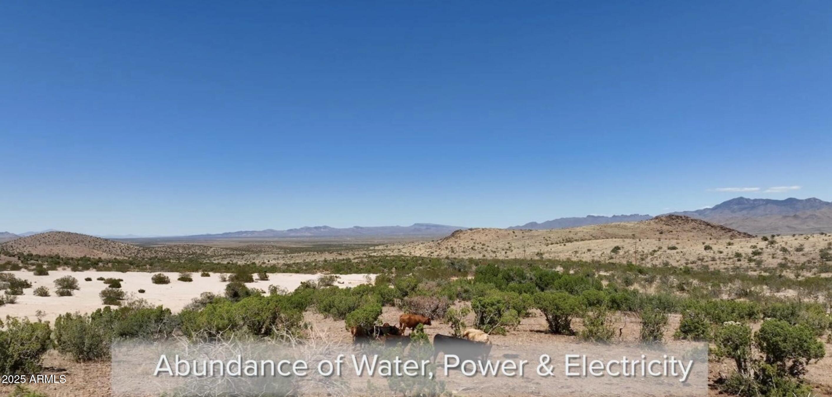 0 N Dolan Springs -- Unit: 4000