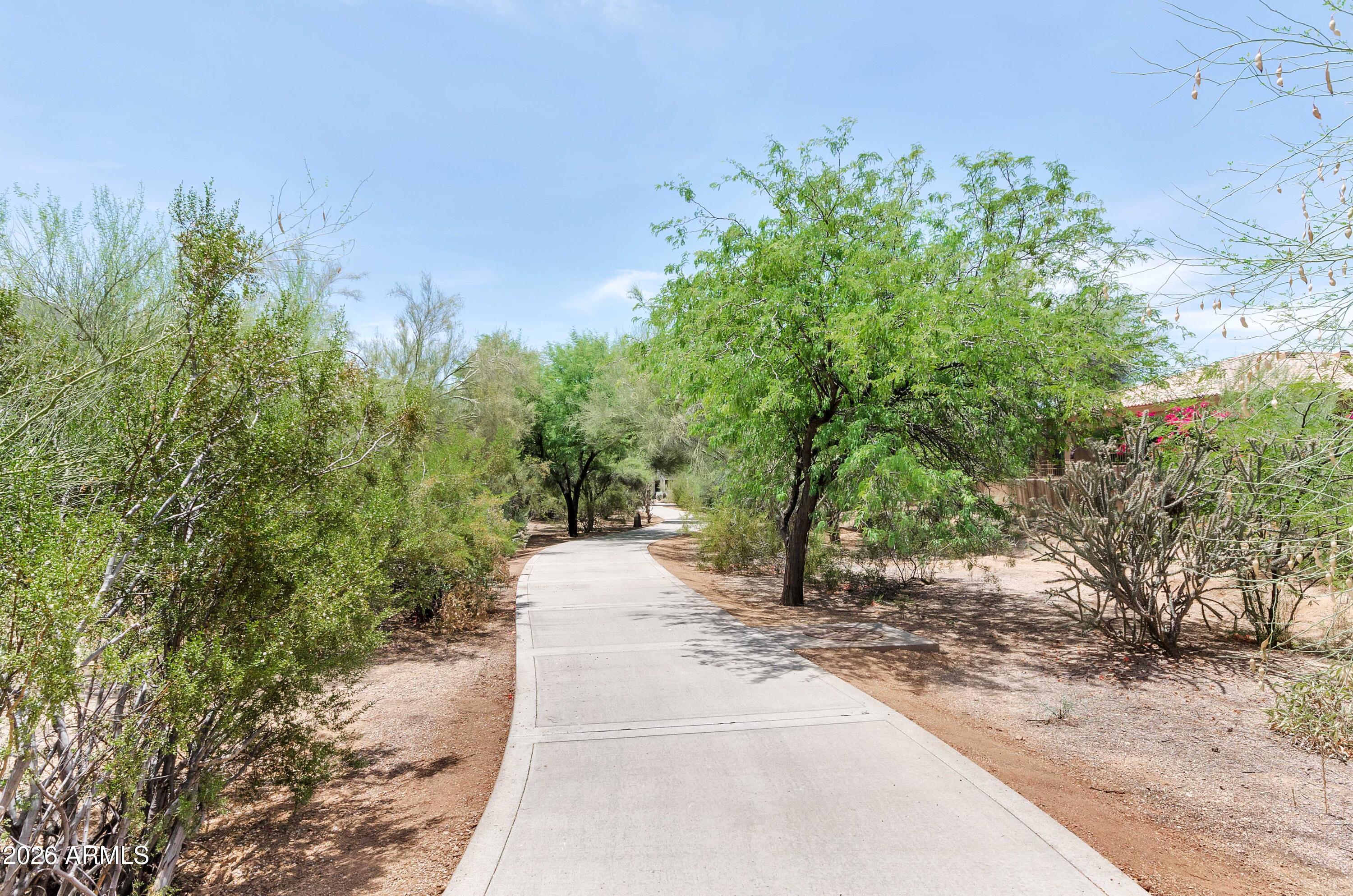 20802 N GRAYHAWK Drive 1003