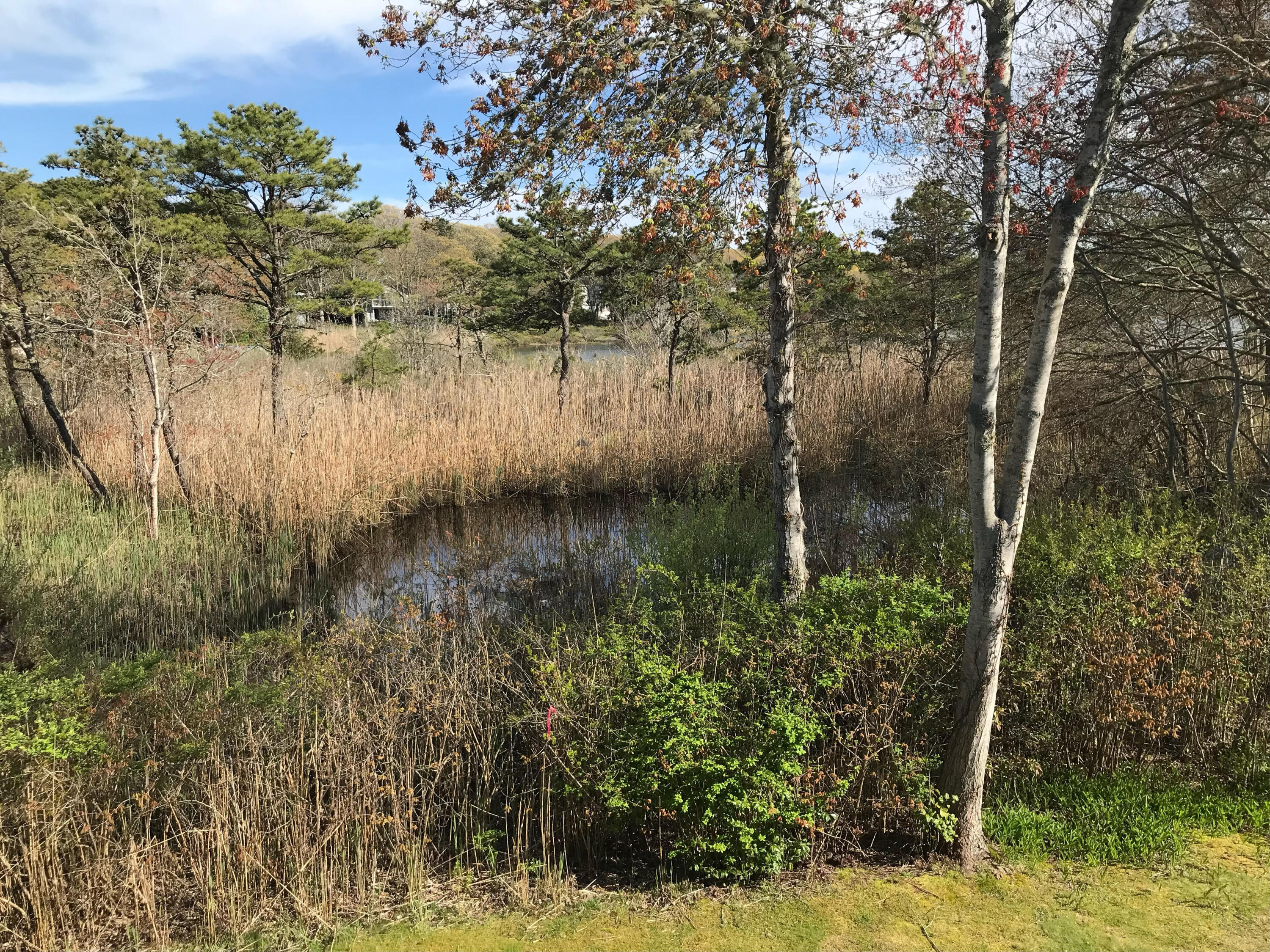 288 Riverbay Way