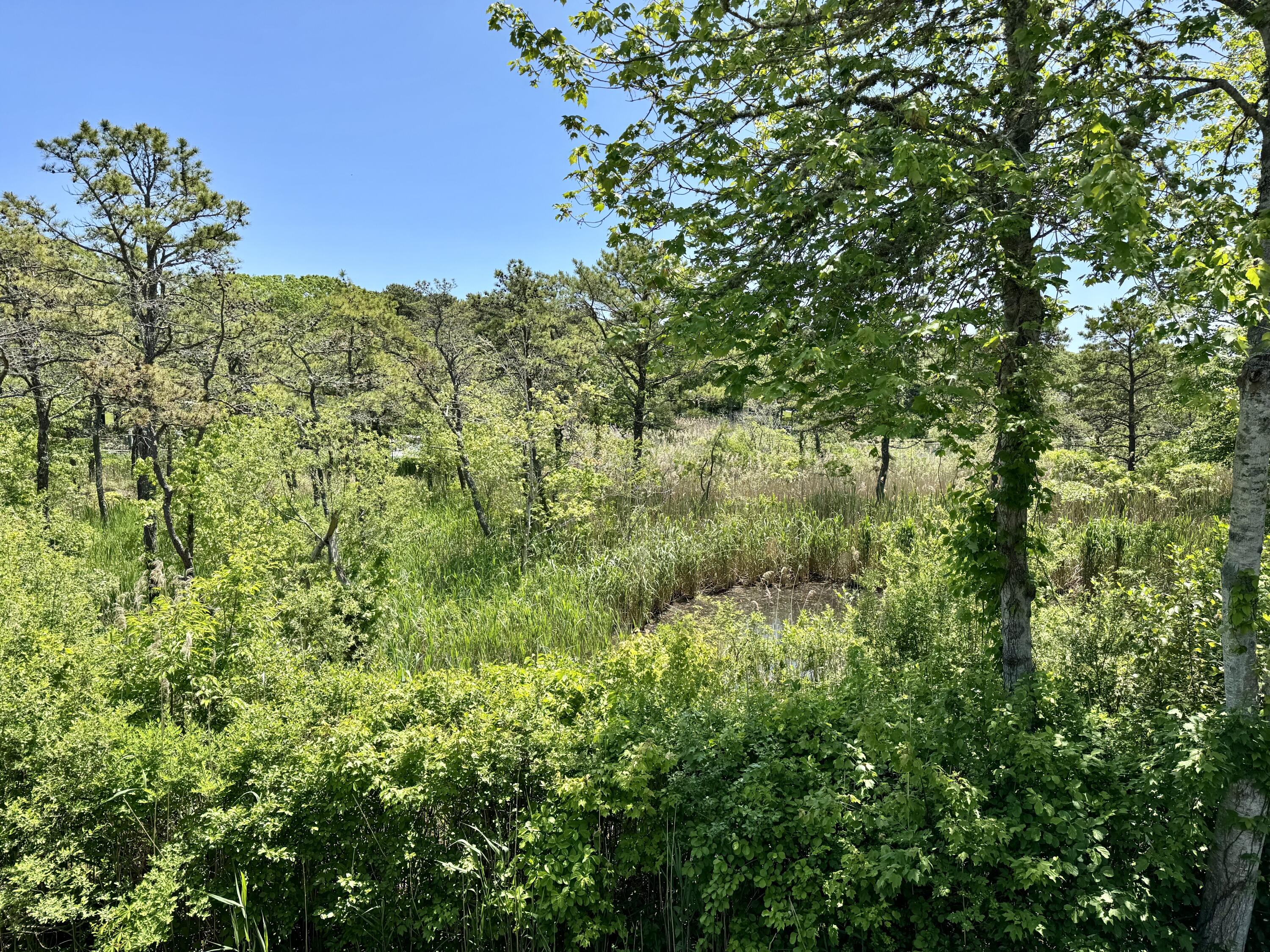 288 Riverbay Way