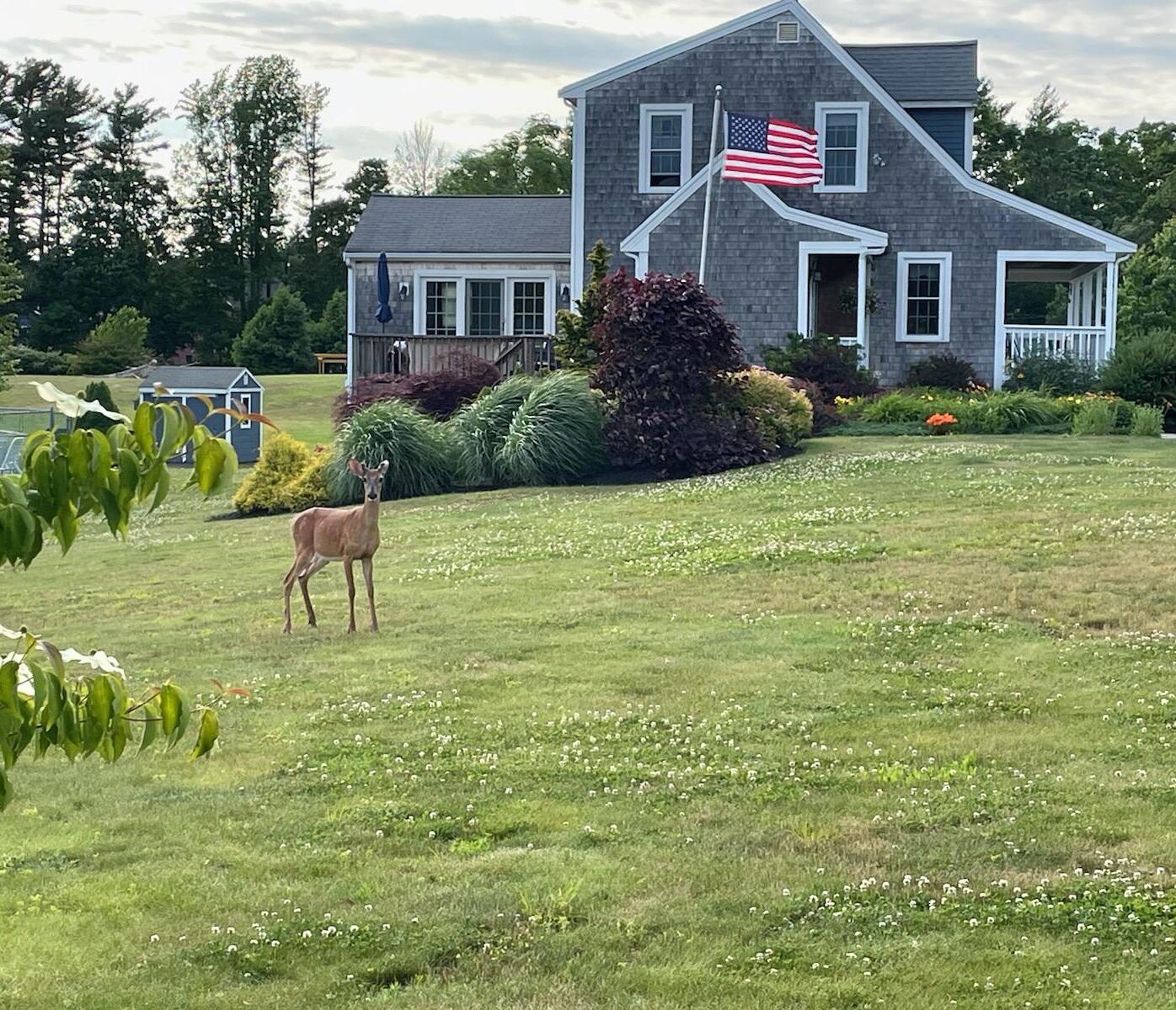 16 Palmer Mill Road